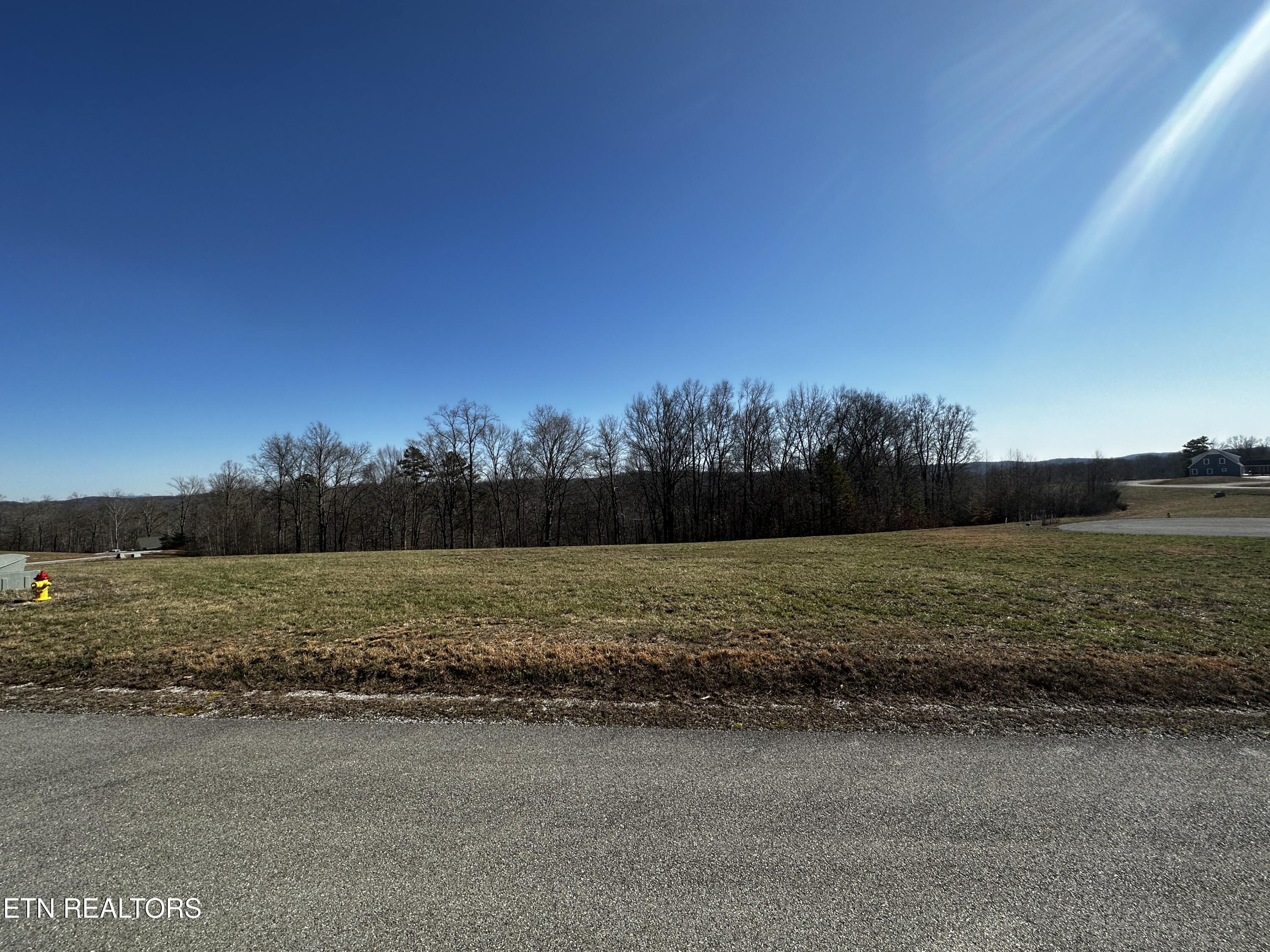 Norris Lake Real Estate - Image# 10