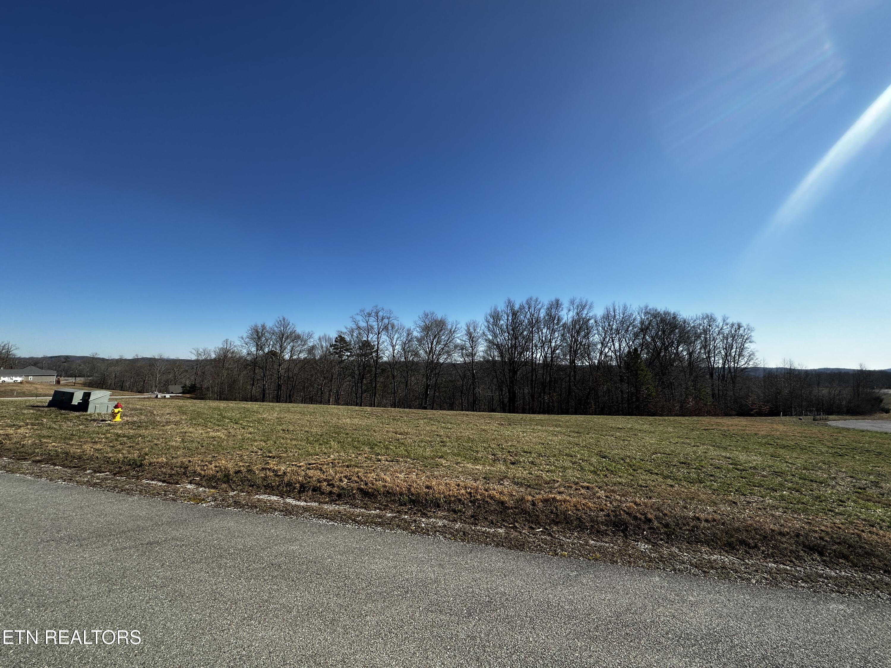 Norris Lake Real Estate - Image# 11