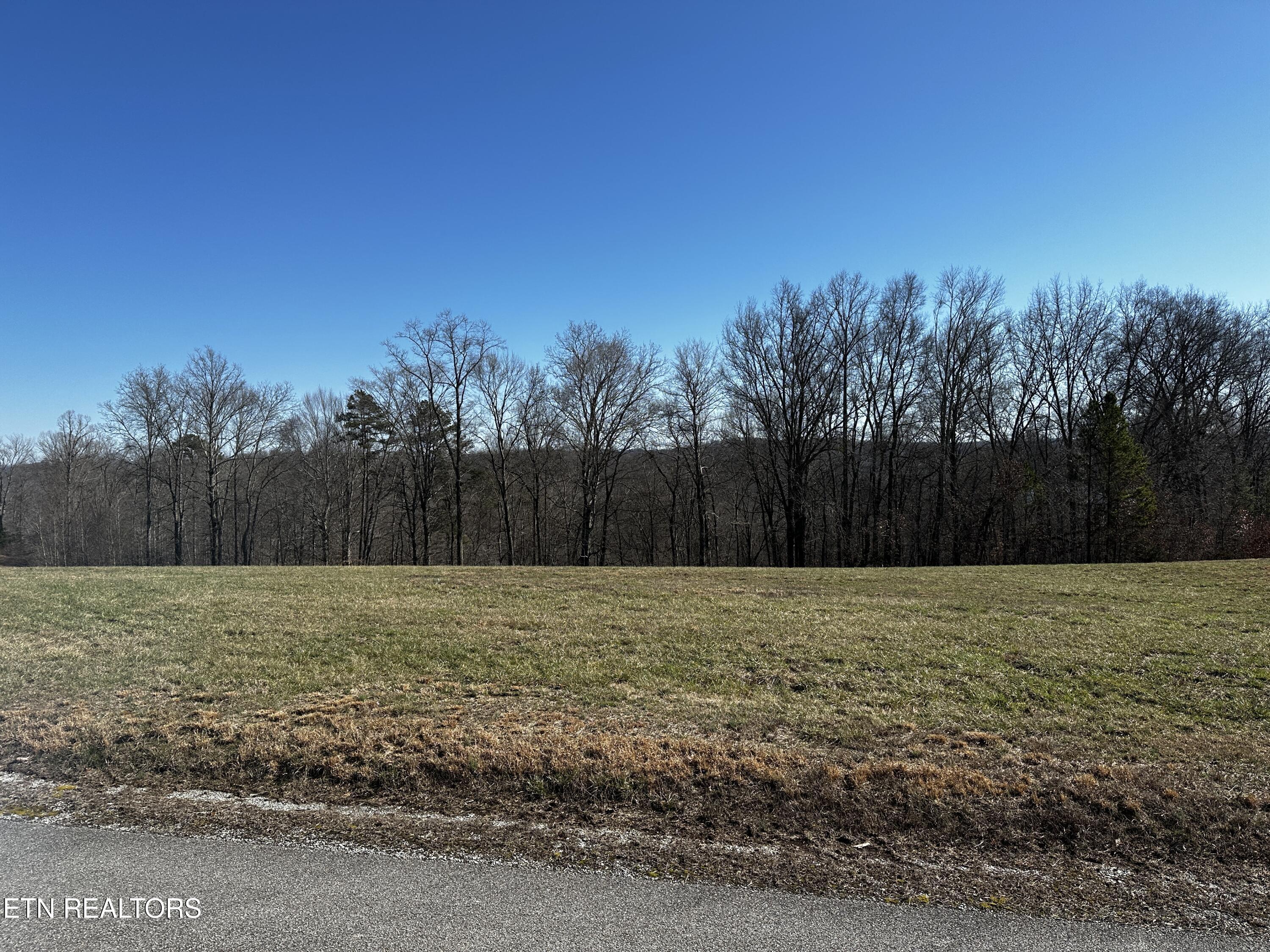 Norris Lake Real Estate - Image# 12