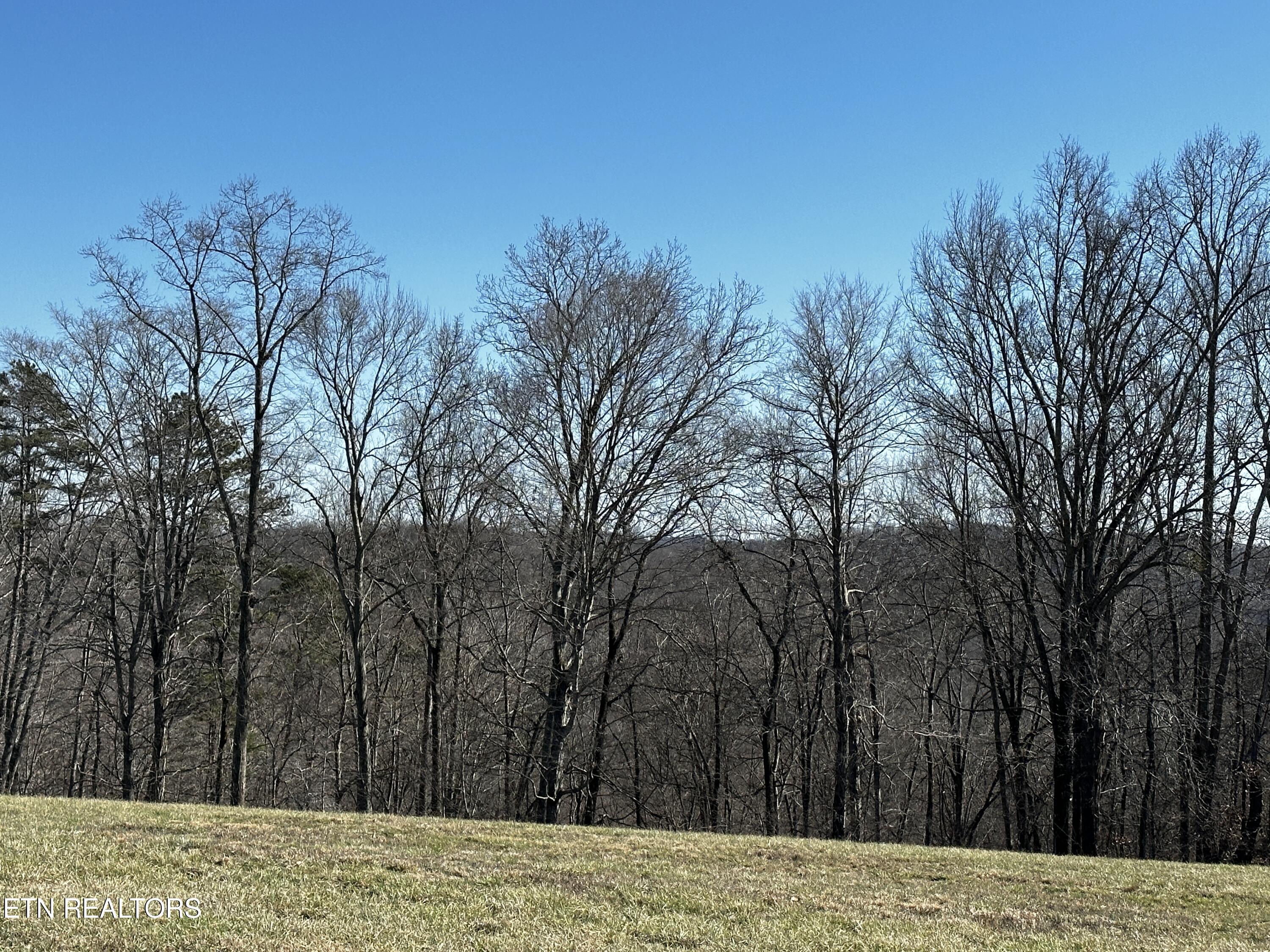 Norris Lake Real Estate - Image# 13