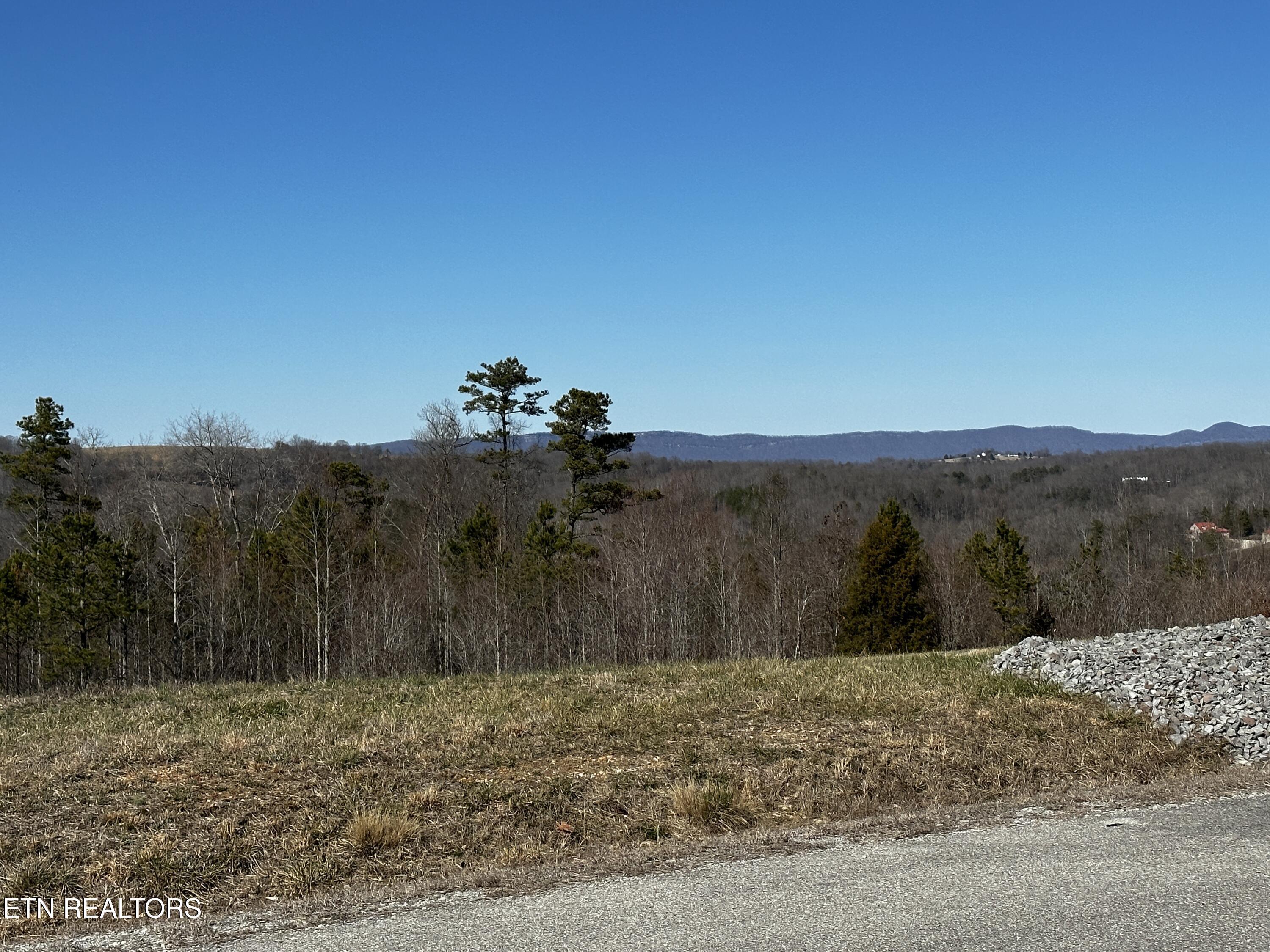 Norris Lake Real Estate - Image# 14
