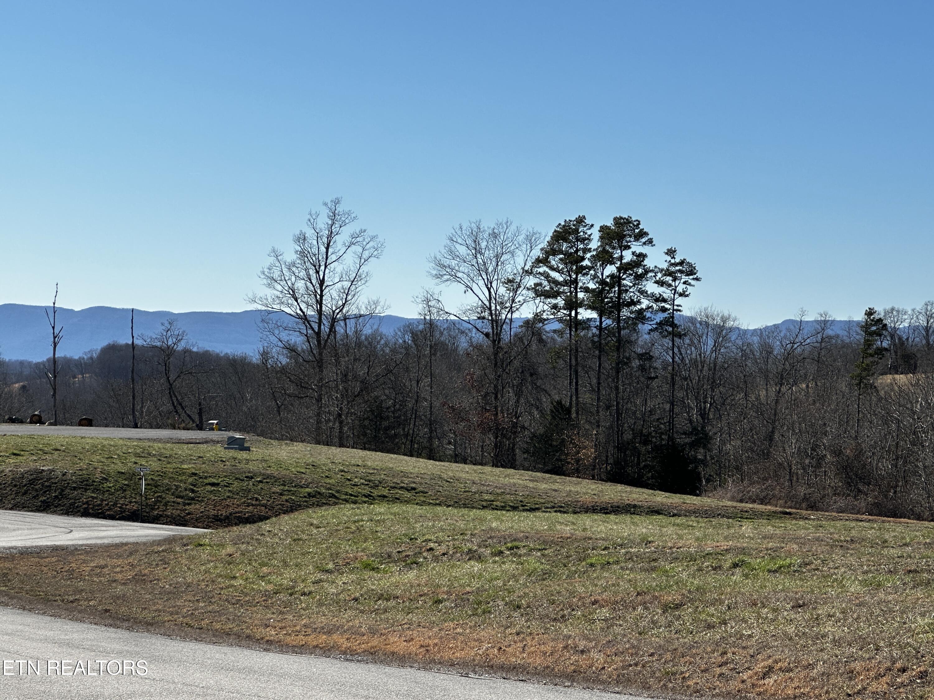 Norris Lake Real Estate - Image# 16