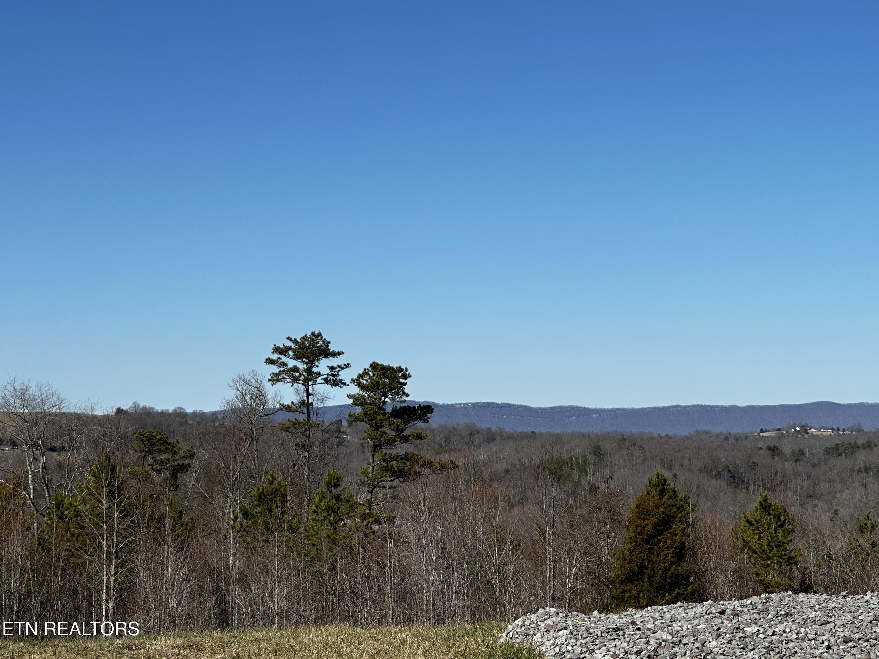 Norris Lake Real Estate - Image# 18