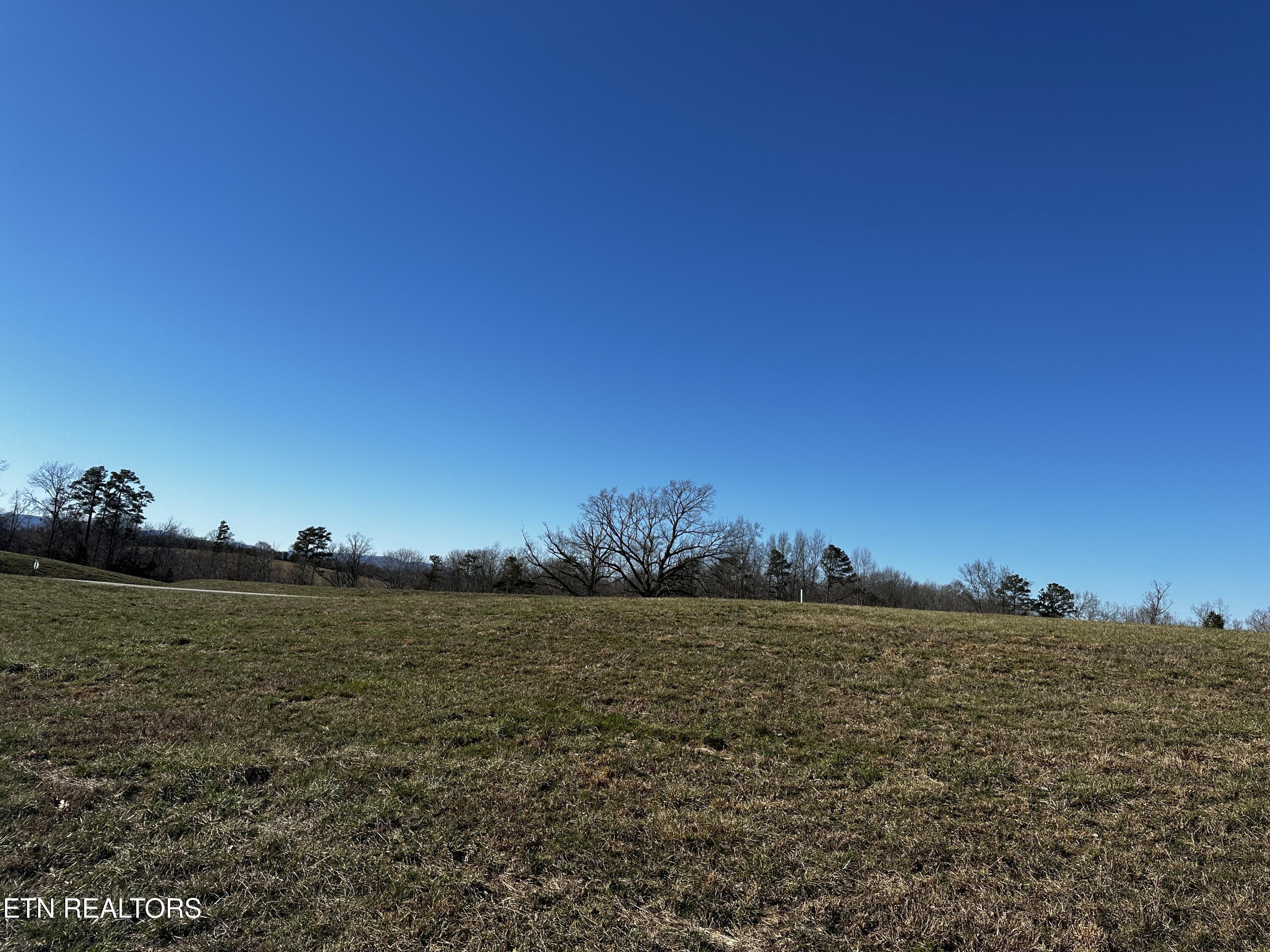 Norris Lake Real Estate - Image# 20