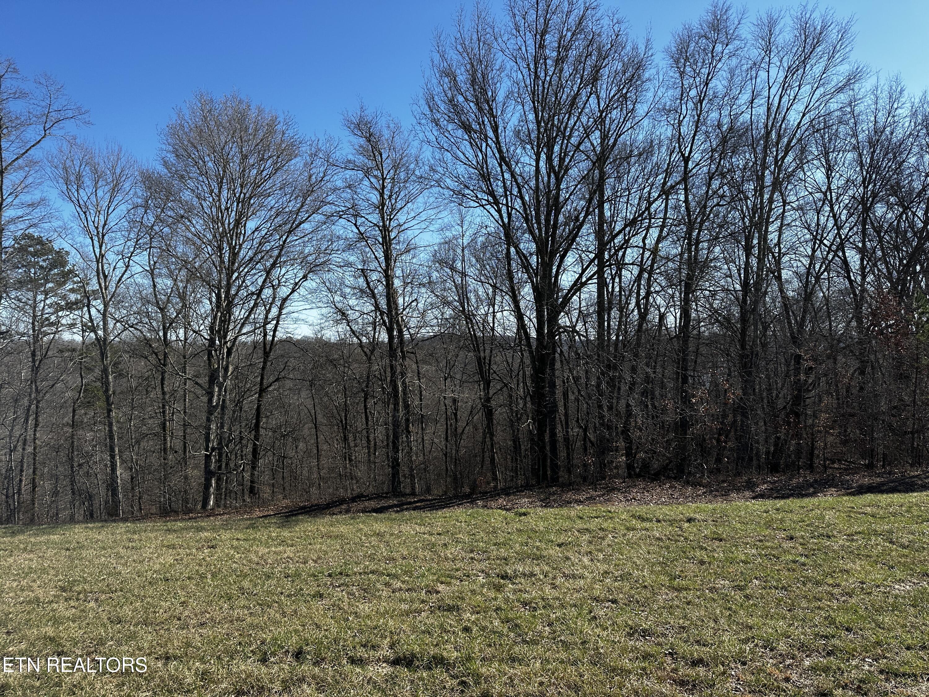 Norris Lake Real Estate - Image# 22