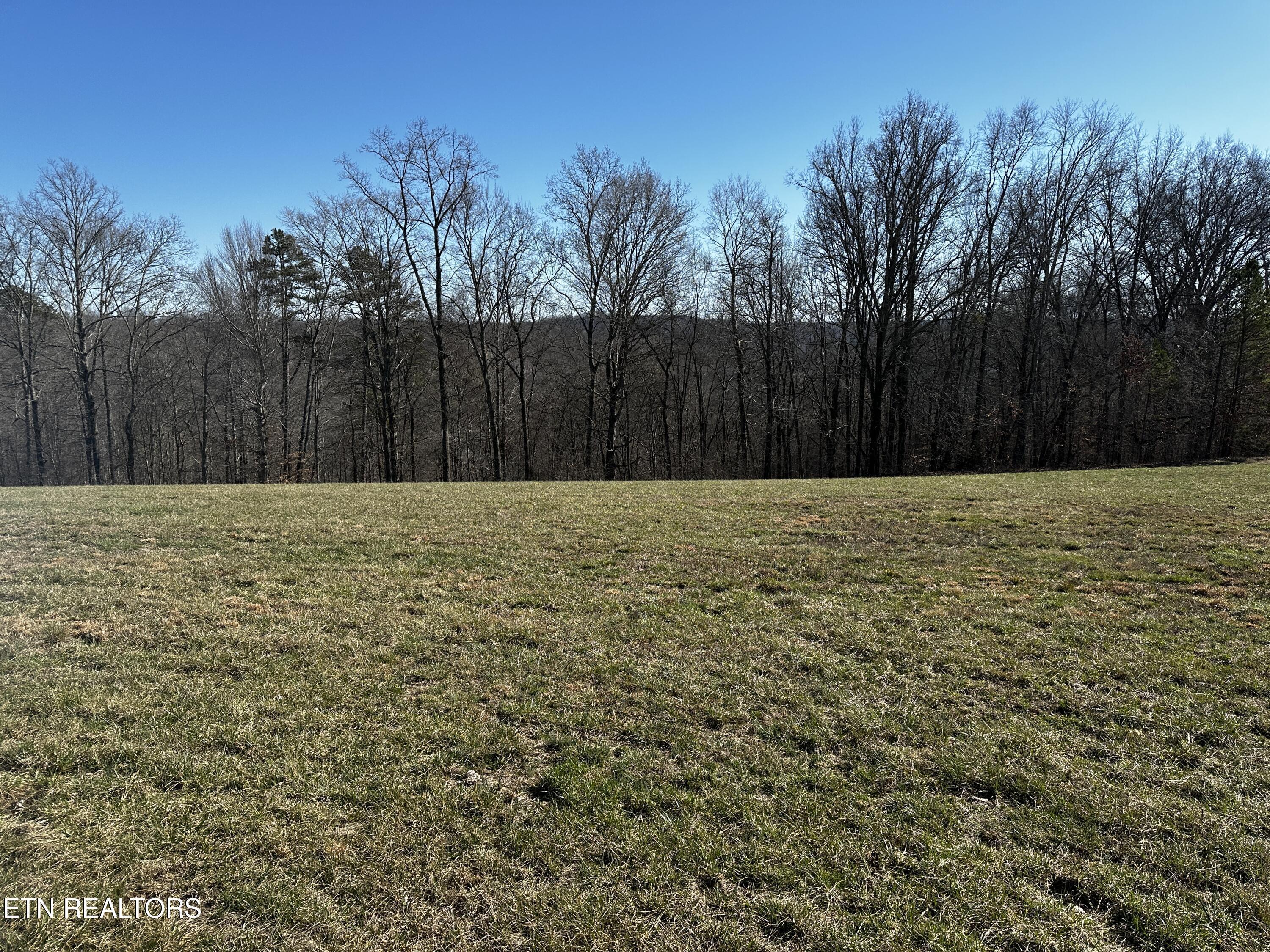 Norris Lake Real Estate - Image# 24