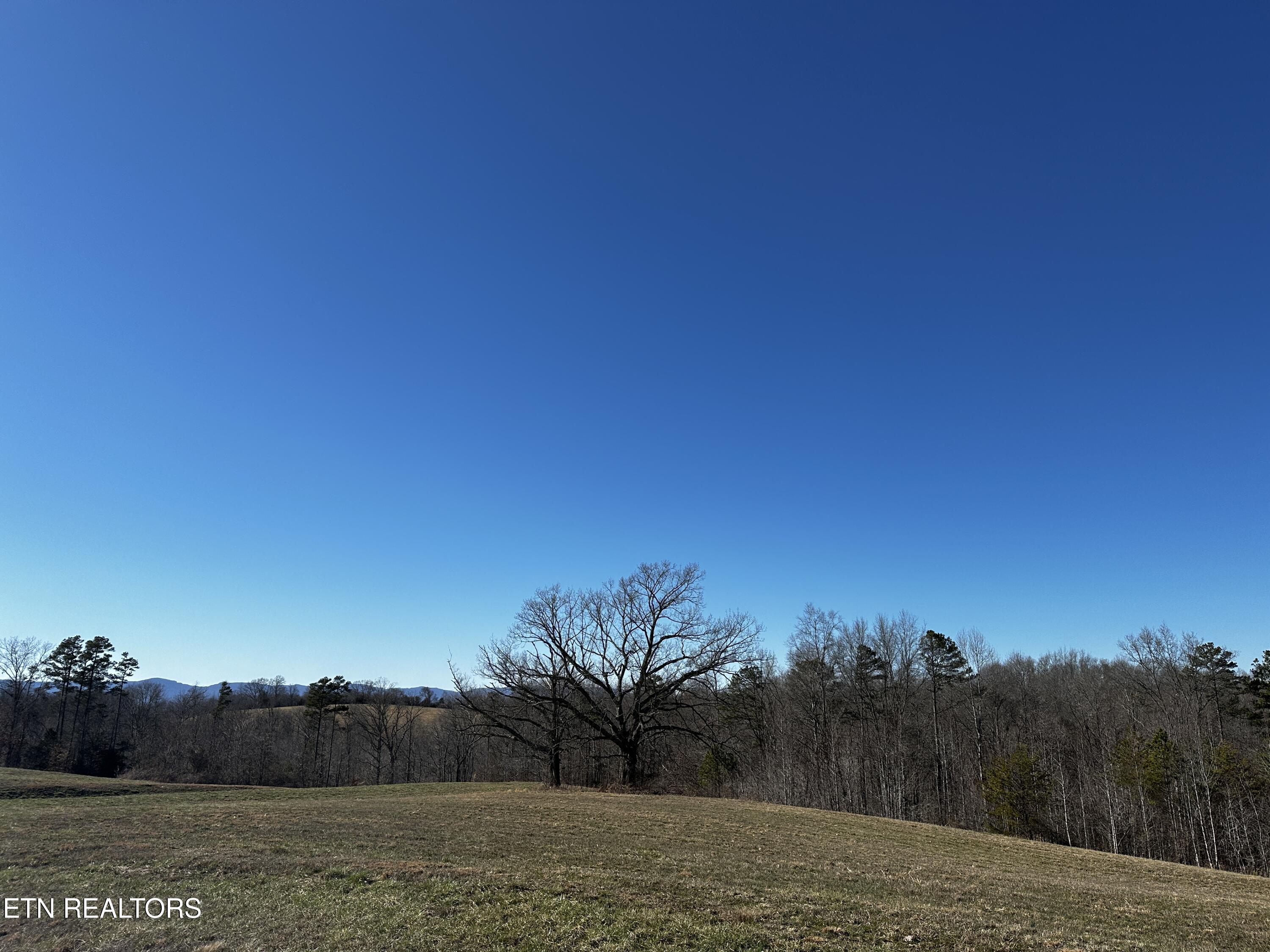 Norris Lake Real Estate - Image# 30