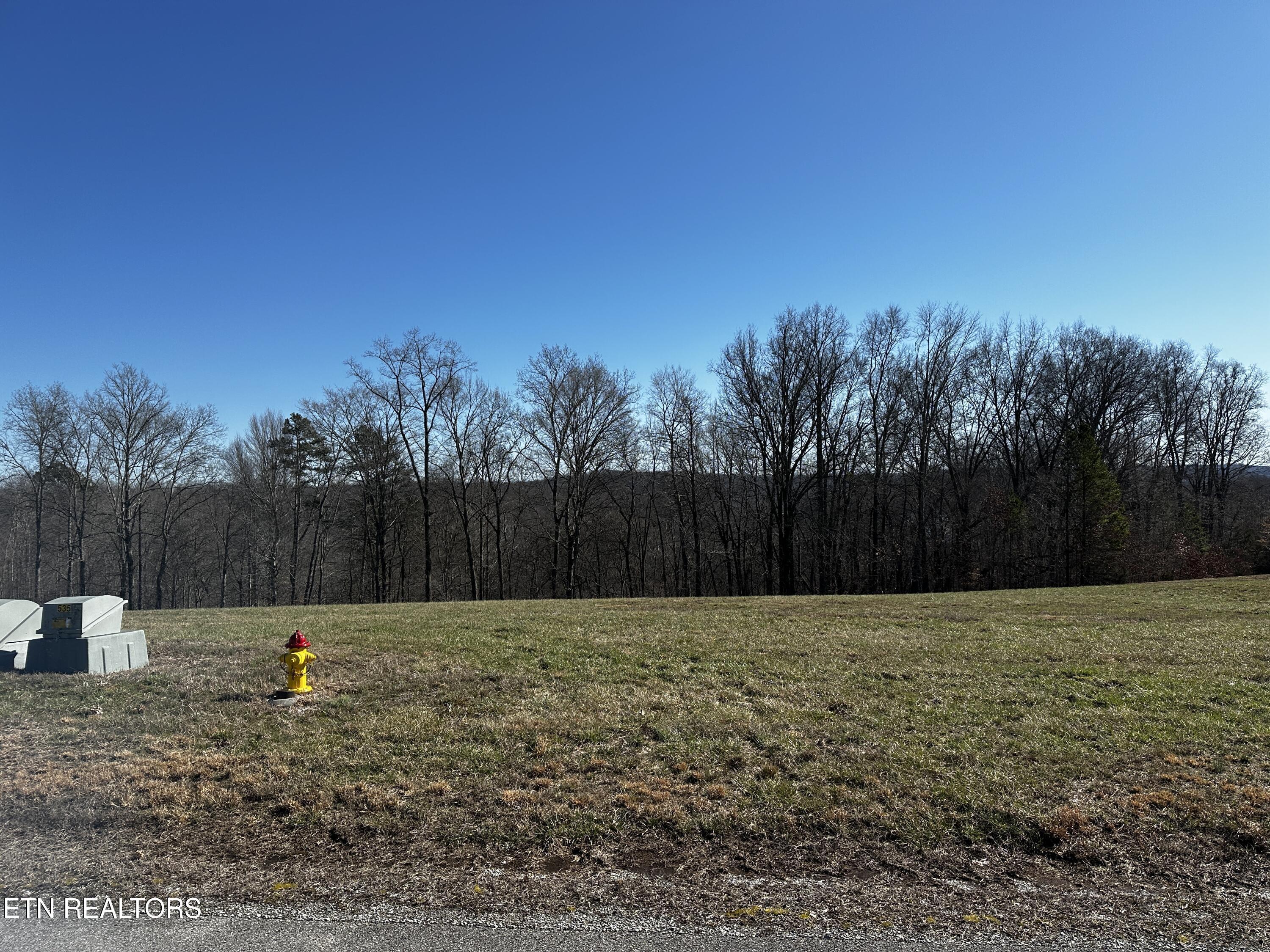 Norris Lake Real Estate - Image# 28