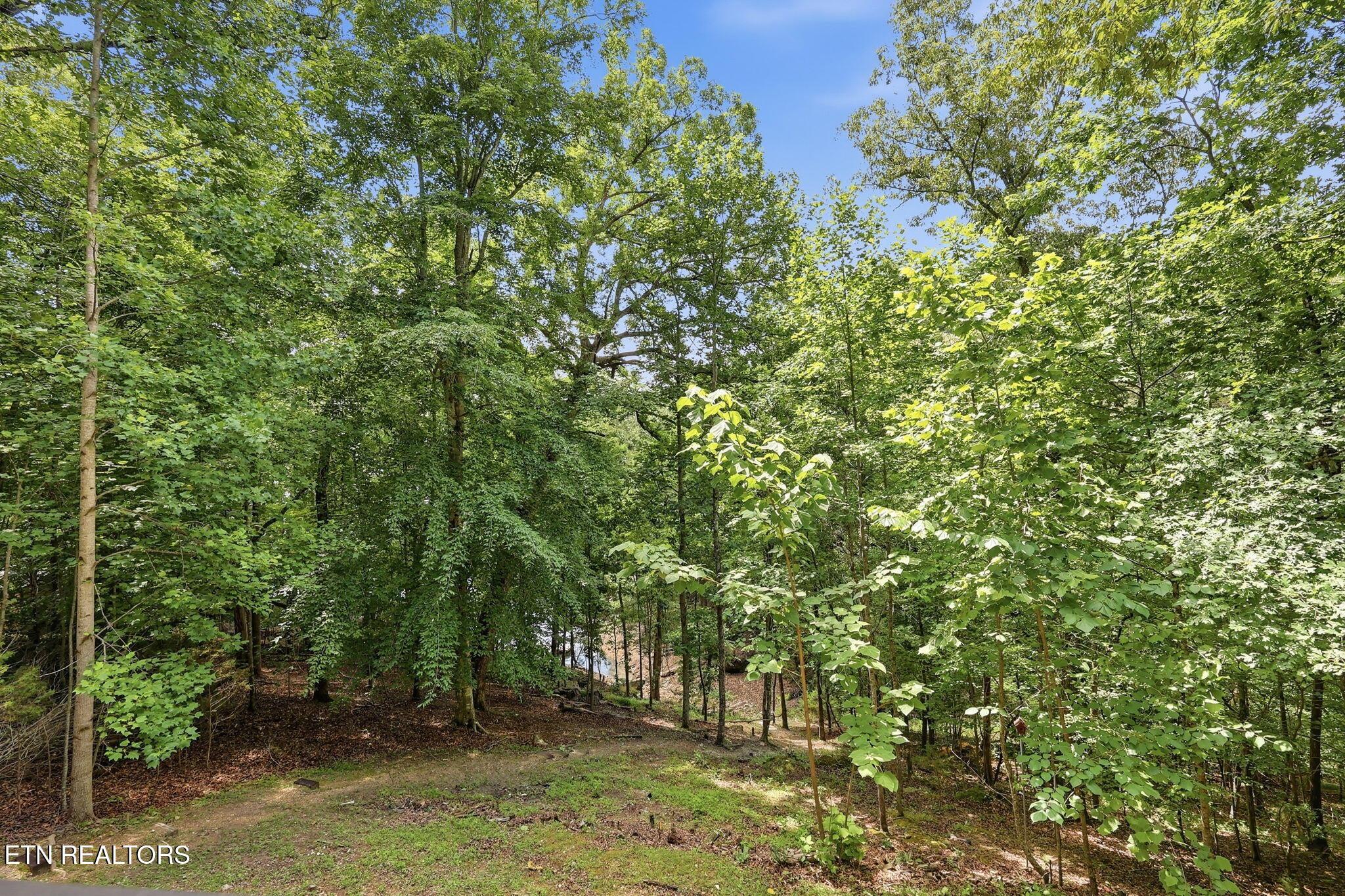 112 Royce Rd, Andersonville, TN - Norris Lake Real Estate - Image# 23