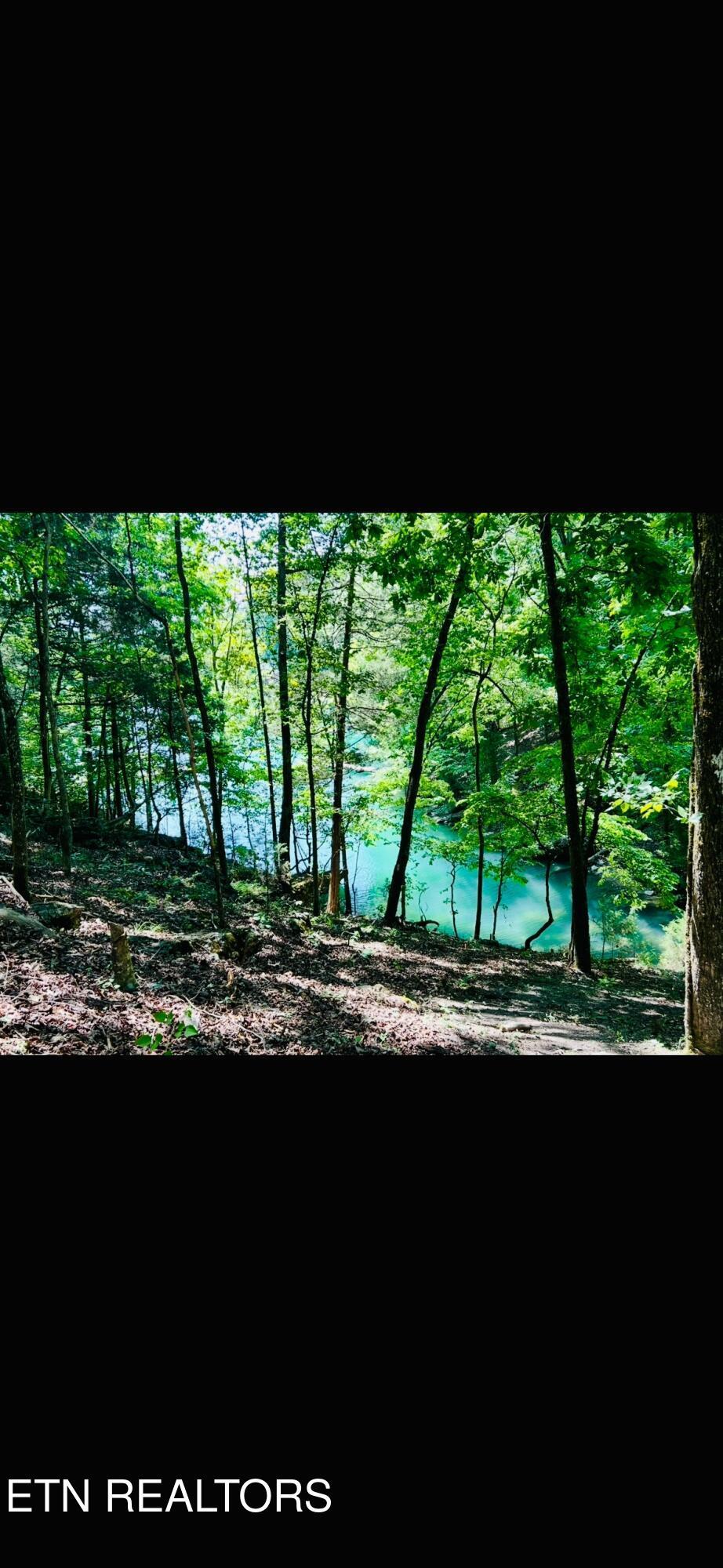 112 Royce Rd, Andersonville, TN - Norris Lake Real Estate - Image# 42