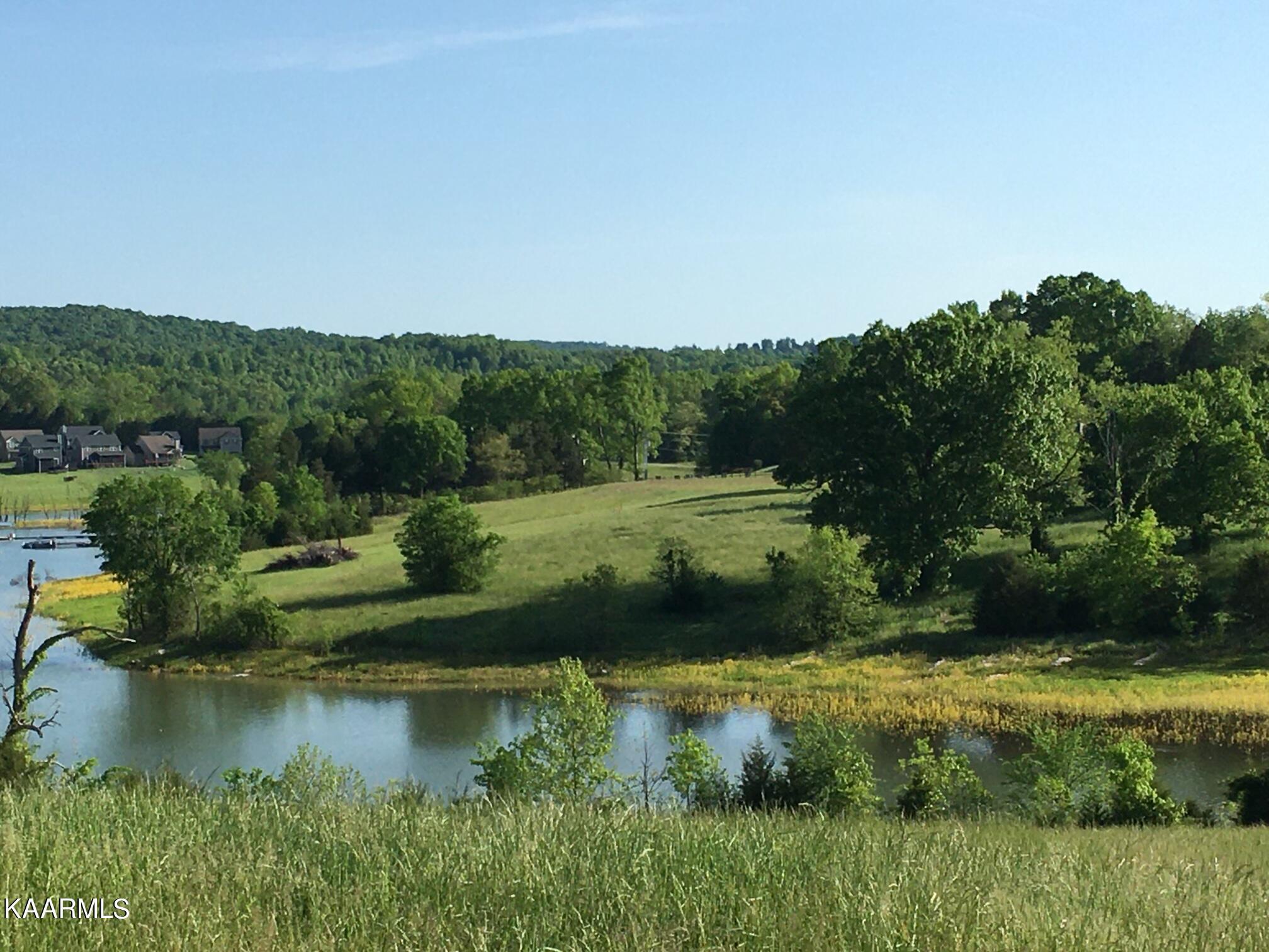 Norris Lake Real Estate - Image# 7