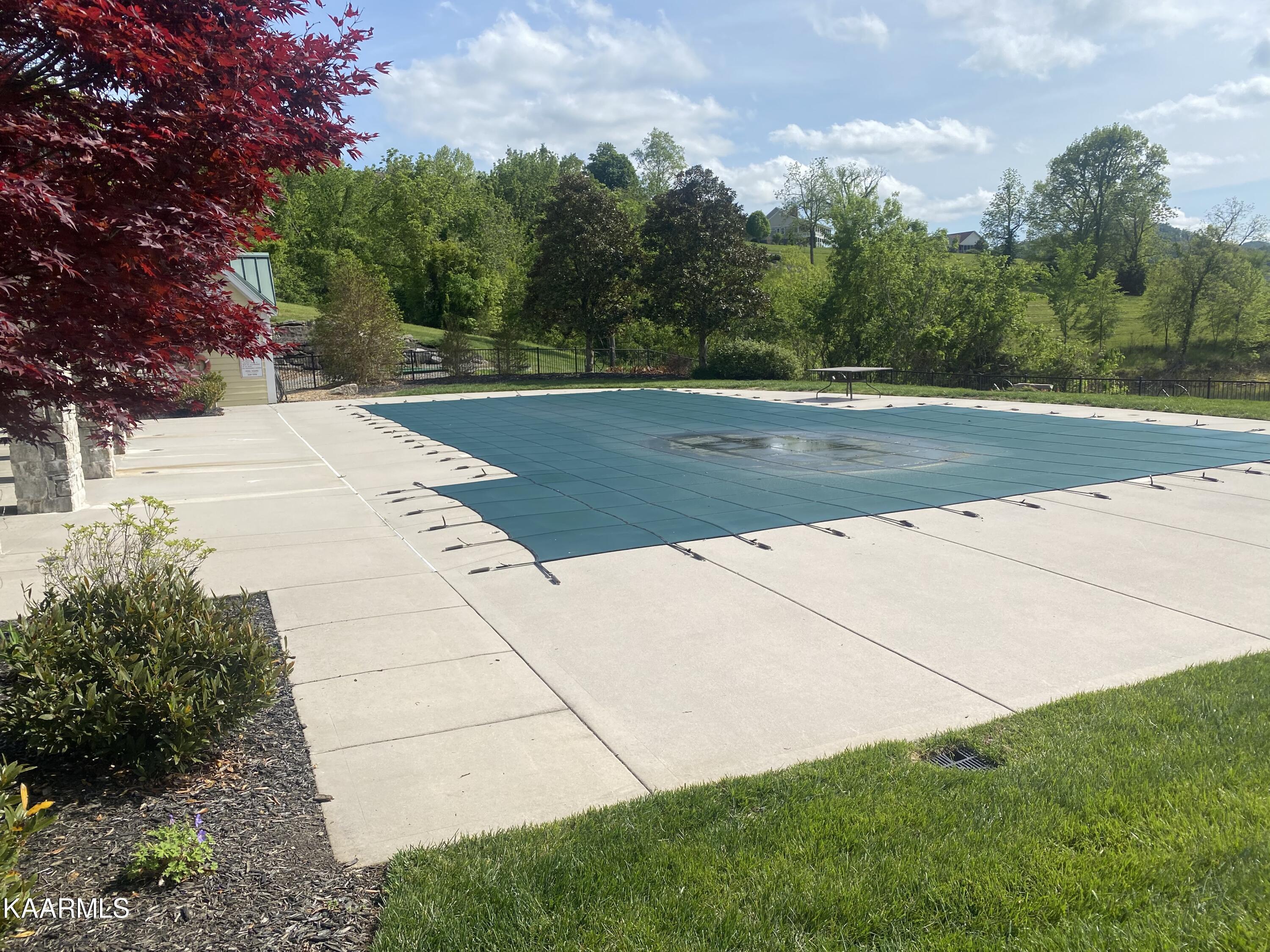 Norris Lake Real Estate - Image# 10