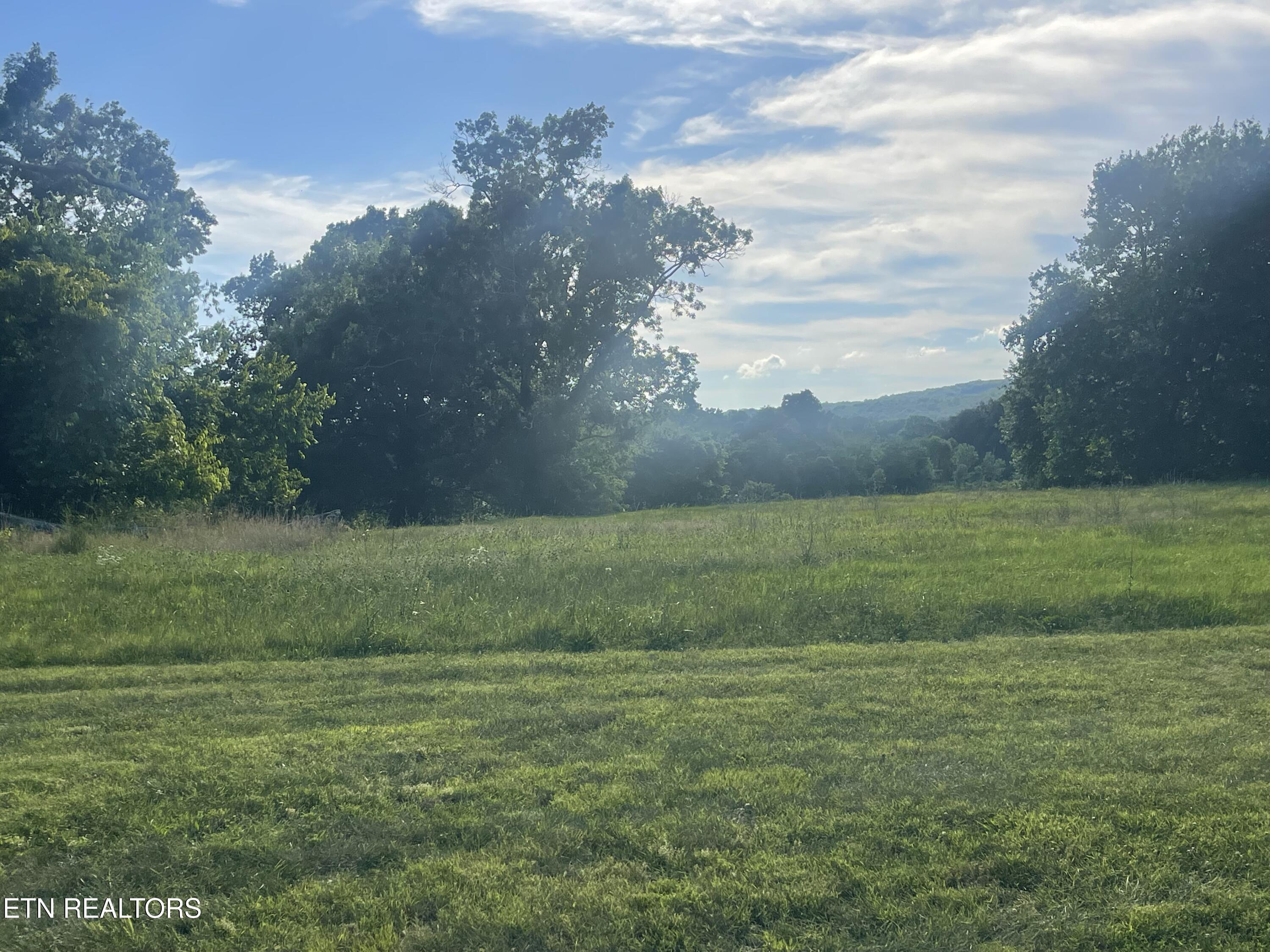Norris Lake Real Estate - Image# 3