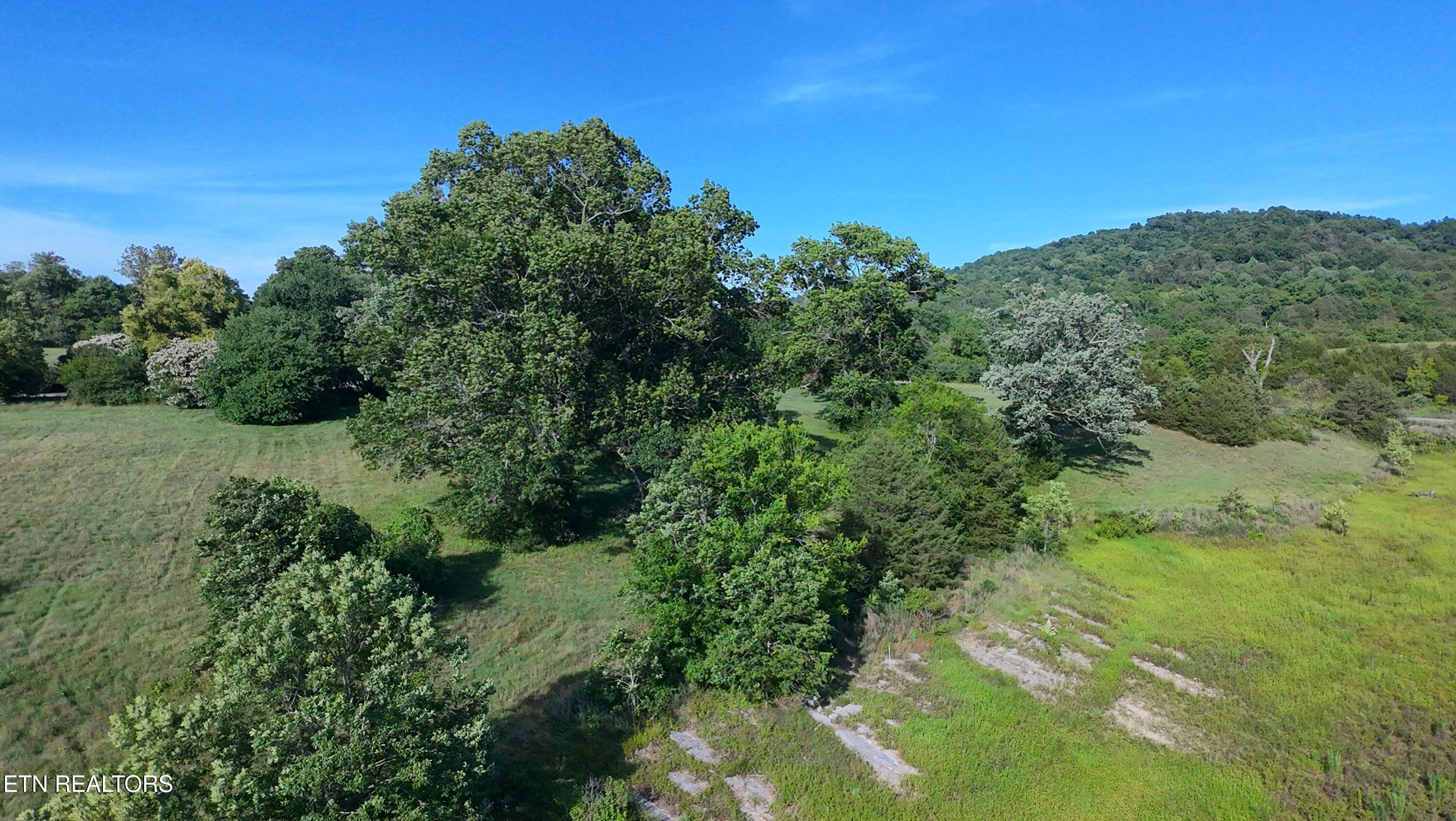 Norris Lake Real Estate - Image# 2