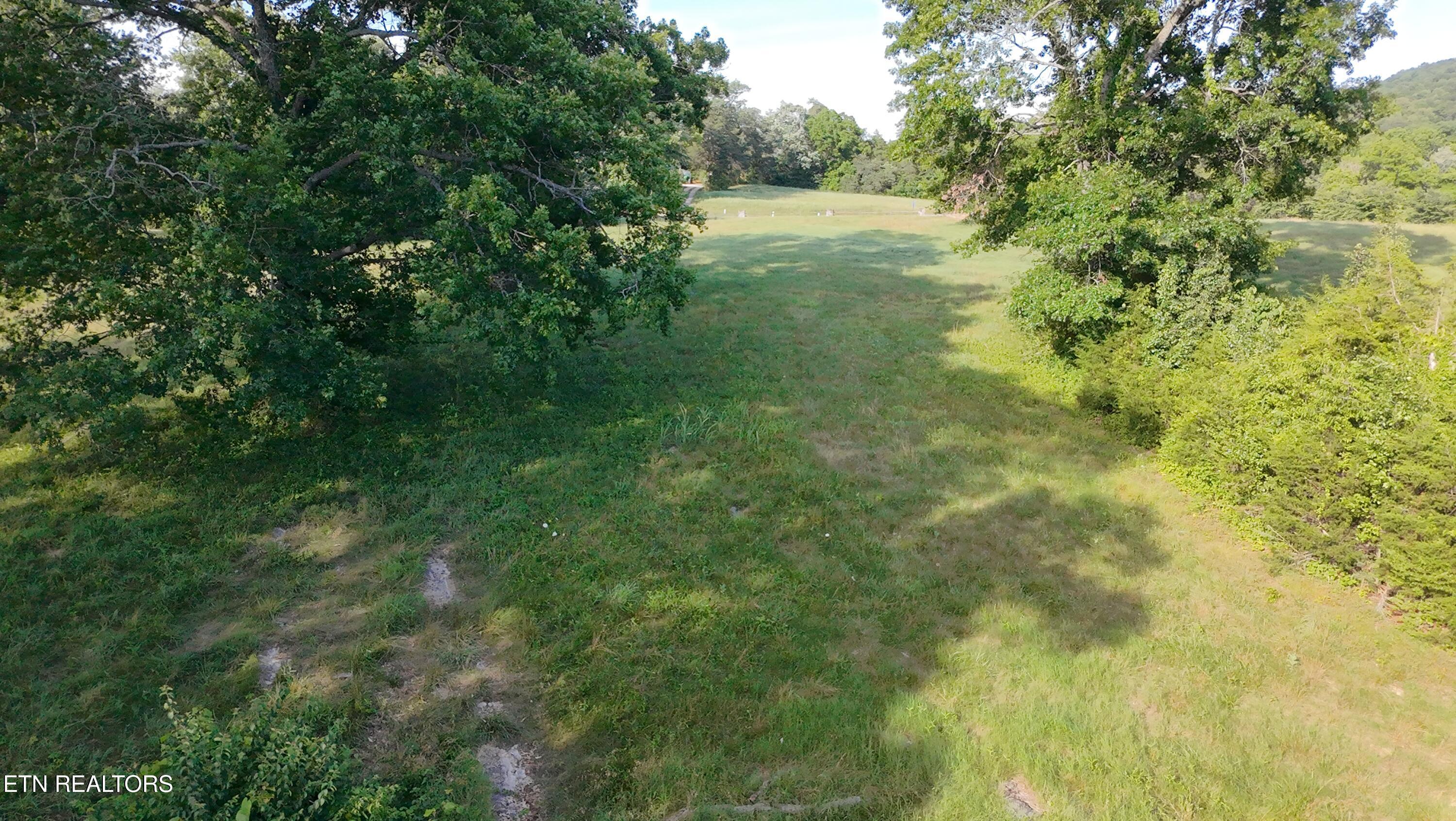 Norris Lake Real Estate - Image# 4