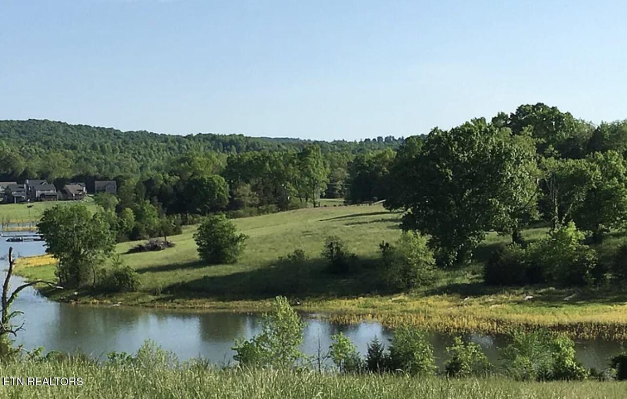 Norris Lake Real Estate - Image# 5