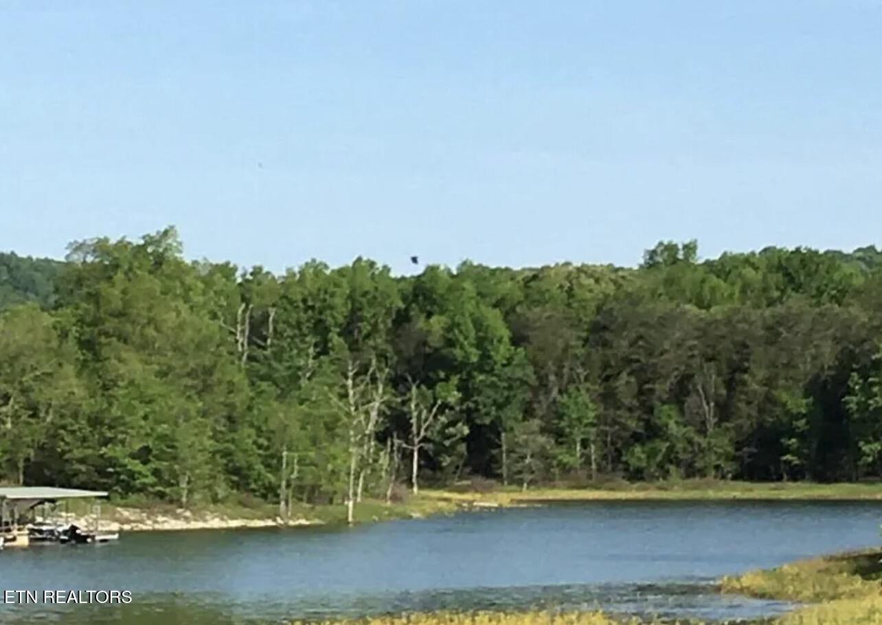 Norris Lake Real Estate - Image# 6
