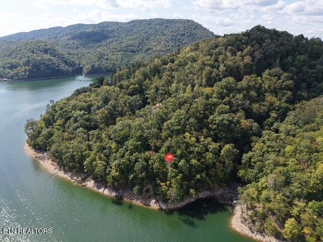 Norris Lake Real Estate - Image# 1