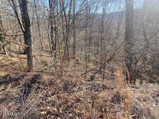 Norris Lake Real Estate - Image# 7