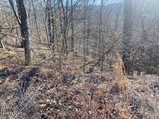 Norris Lake Real Estate - Image# 8