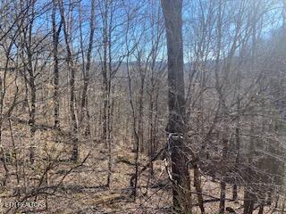 Norris Lake Real Estate - Image# 9