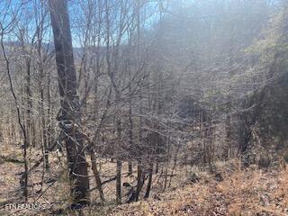 Norris Lake Real Estate - Image# 10