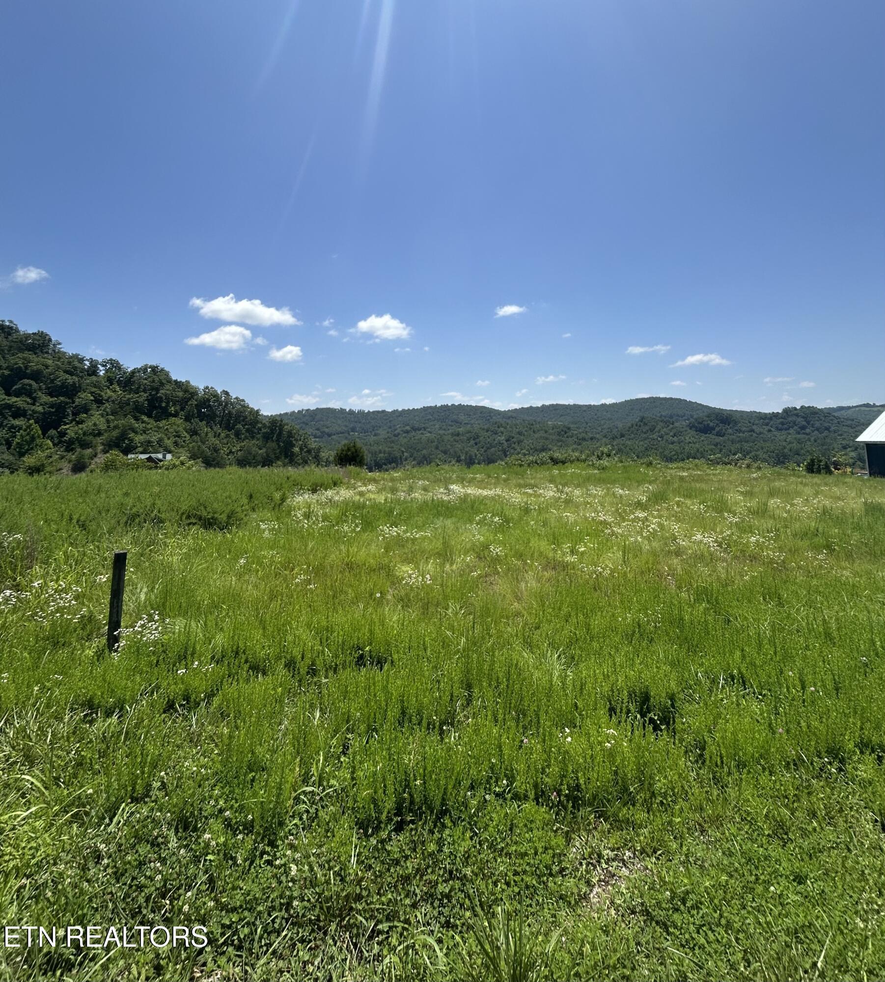 Norris Lake Real Estate - Image# 19