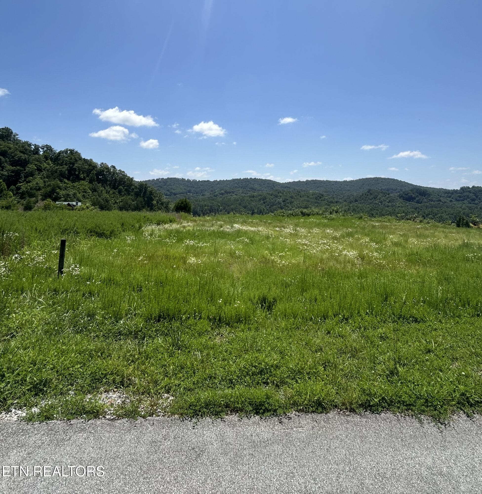 Norris Lake Real Estate - Image# 16