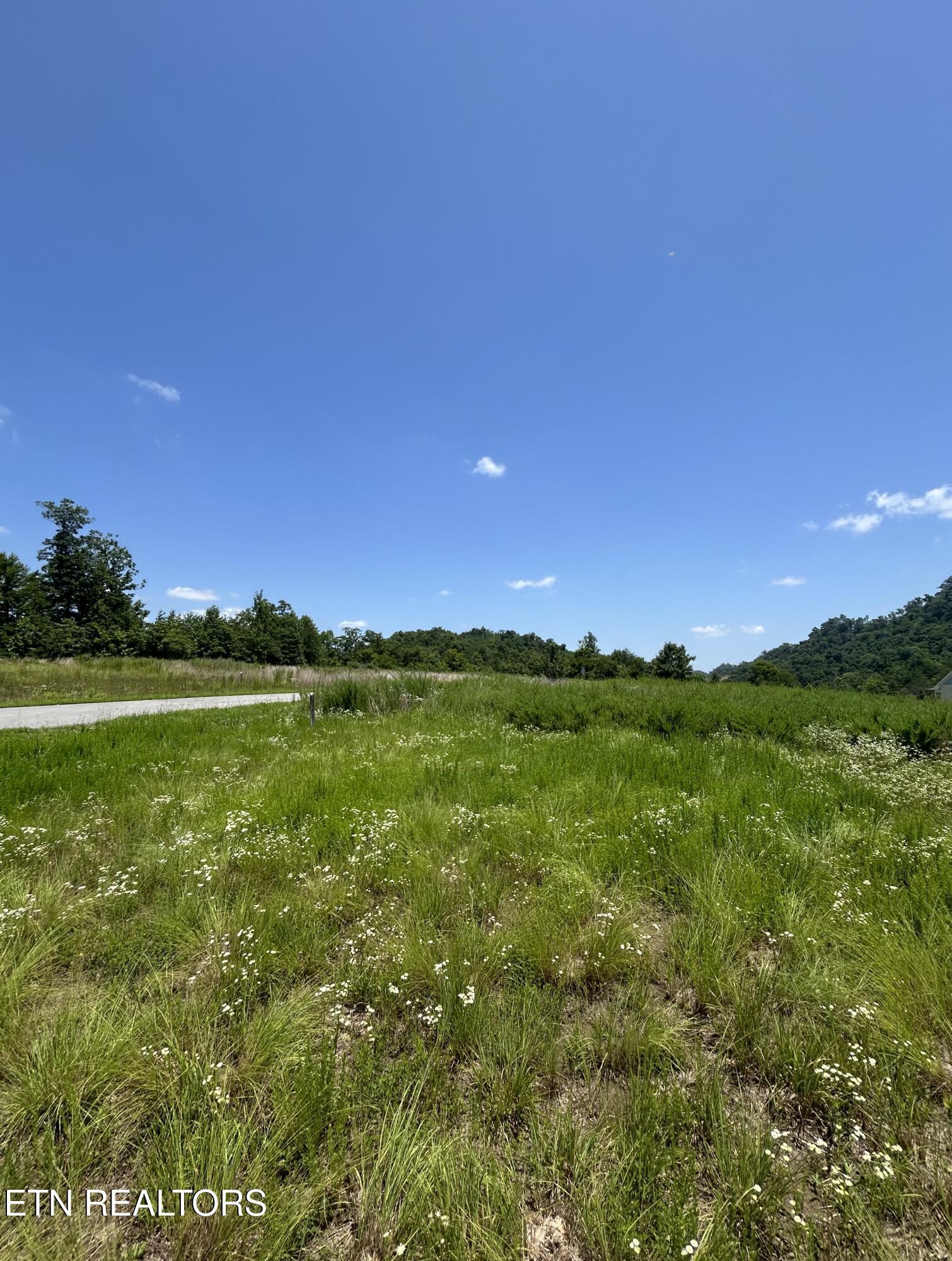 Norris Lake Real Estate - Image# 20