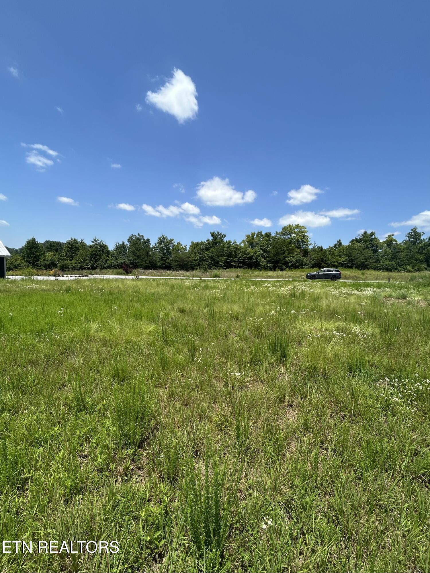 Norris Lake Real Estate - Image# 18