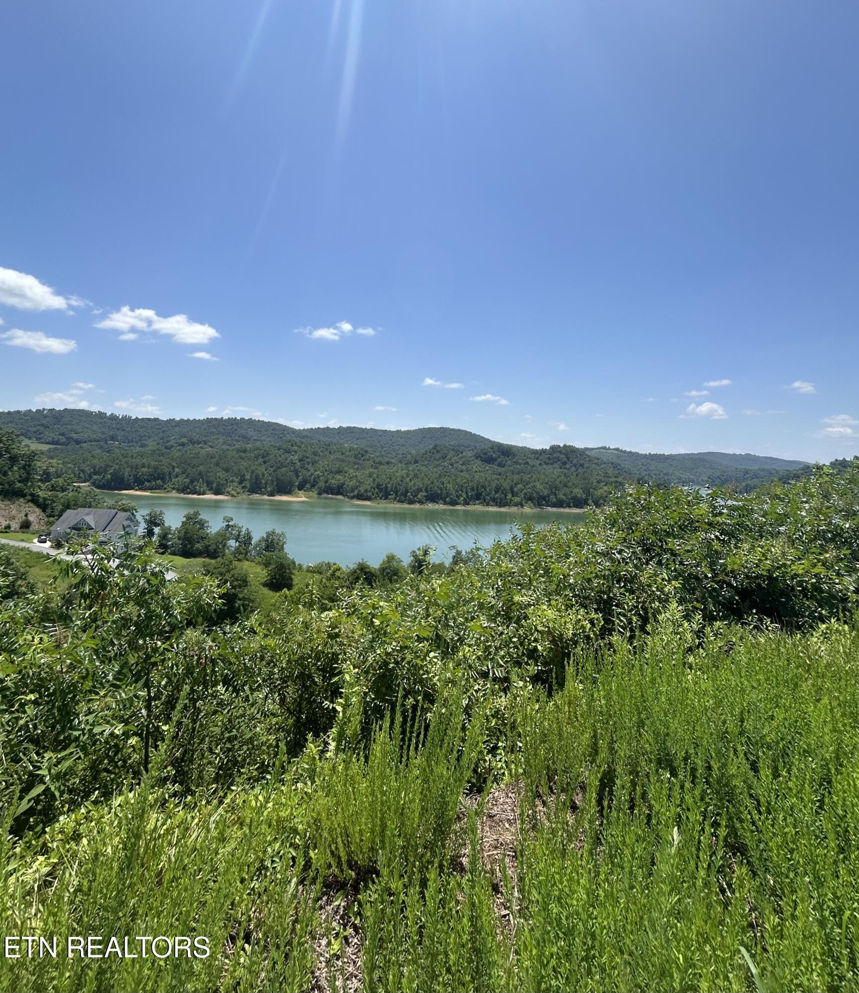 Norris Lake Real Estate - Image# 21