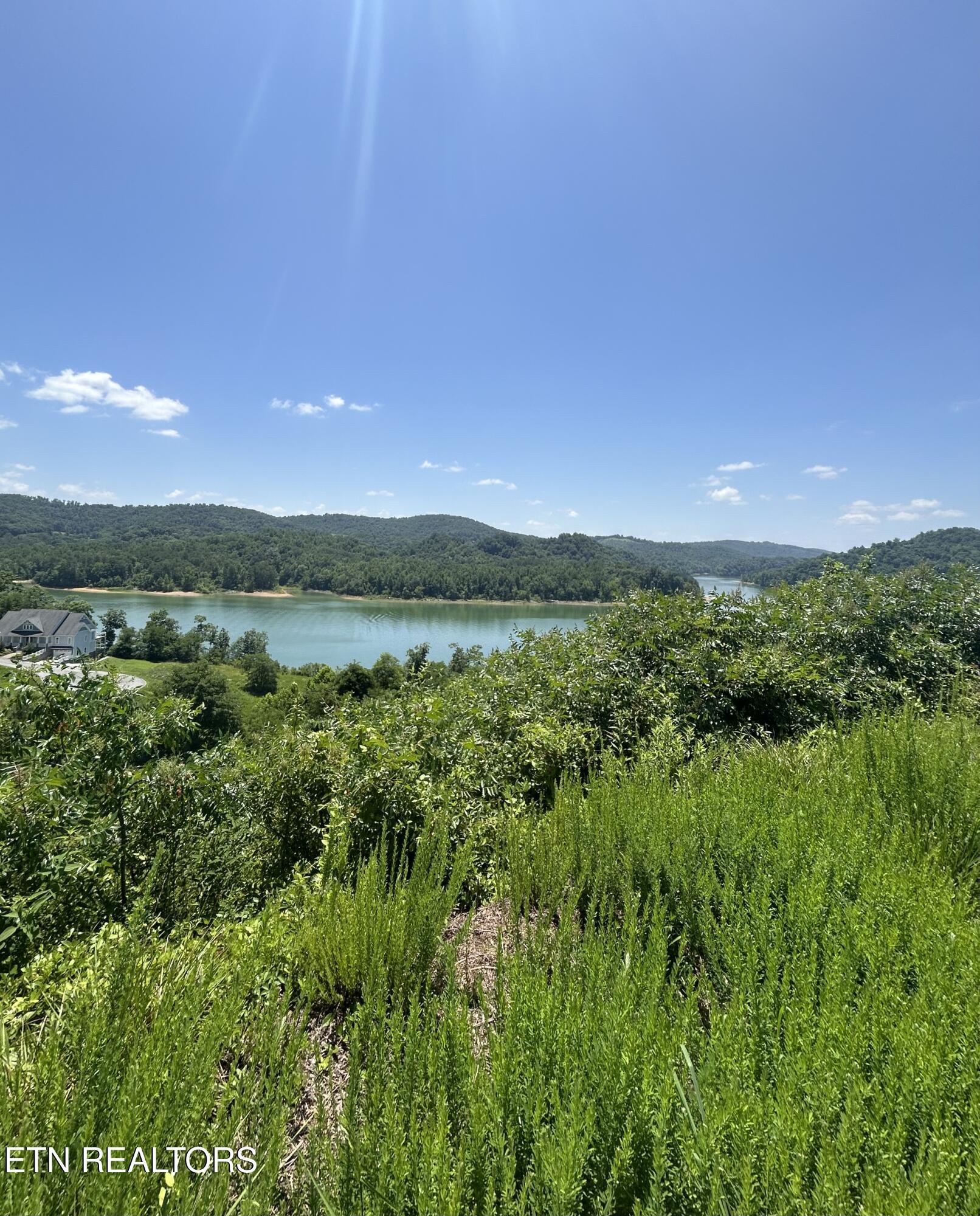Norris Lake Real Estate - Image# 22