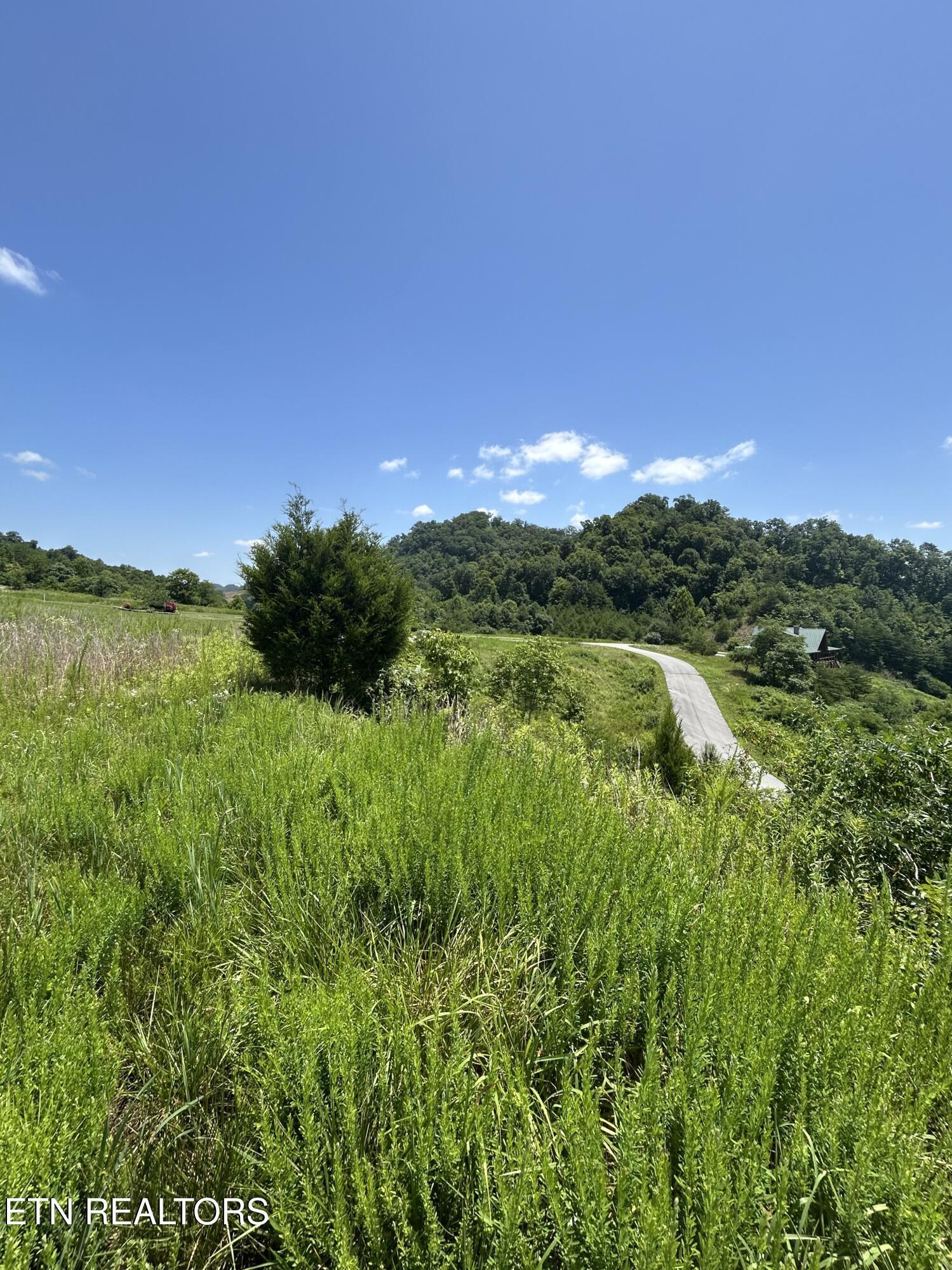 Norris Lake Real Estate - Image# 23