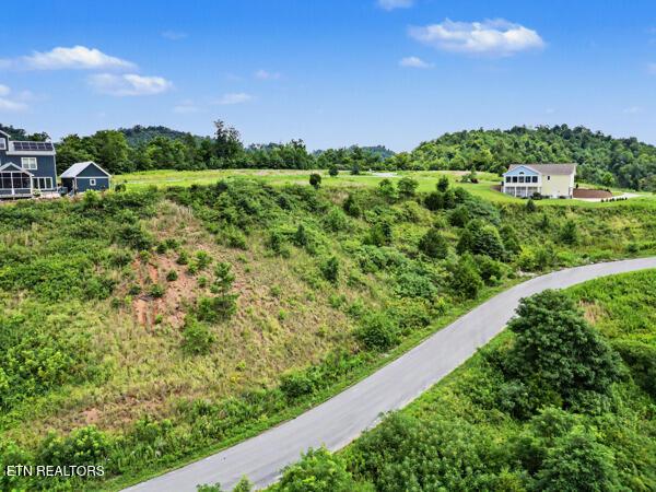 Norris Lake Real Estate - Image# 12