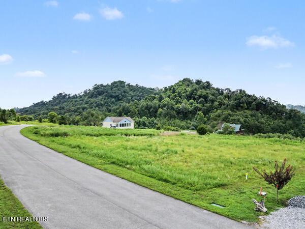 Norris Lake Real Estate - Image# 7
