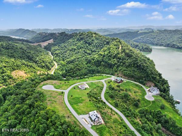 Norris Lake Real Estate - Image# 3