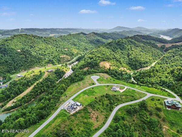 Norris Lake Real Estate - Image# 10