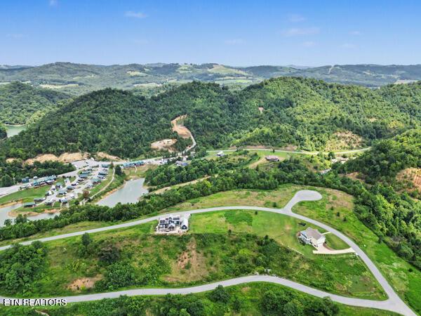 Norris Lake Real Estate - Image# 11