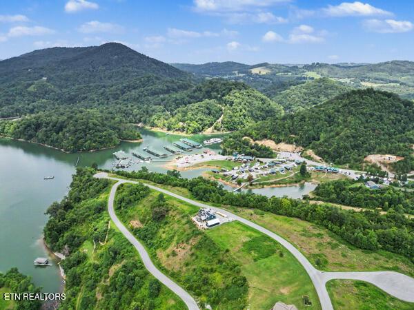 Norris Lake Real Estate - Image# 9
