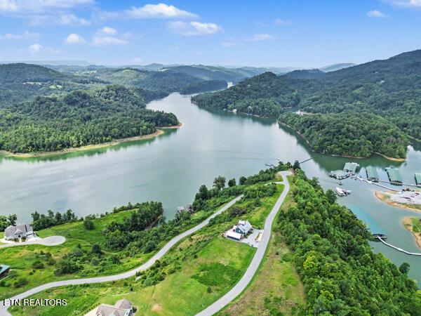 Norris Lake Real Estate - Image# 2