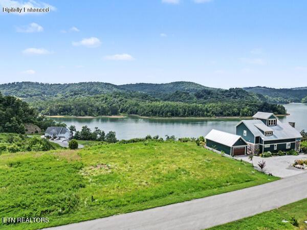 Norris Lake Real Estate - Image# 4