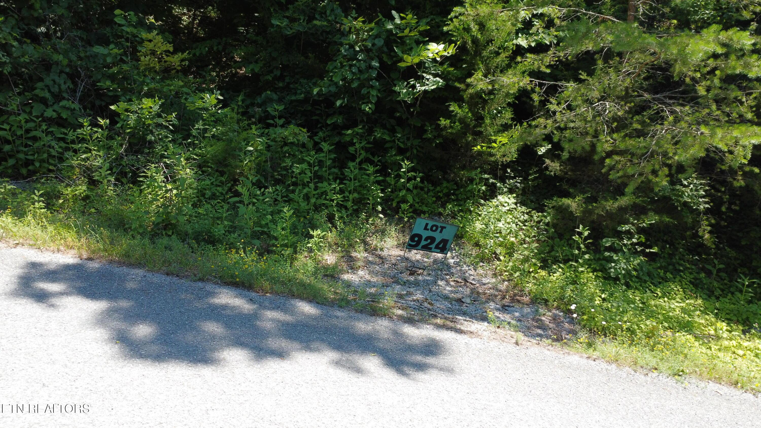 Norris Lake Real Estate - Image# 7