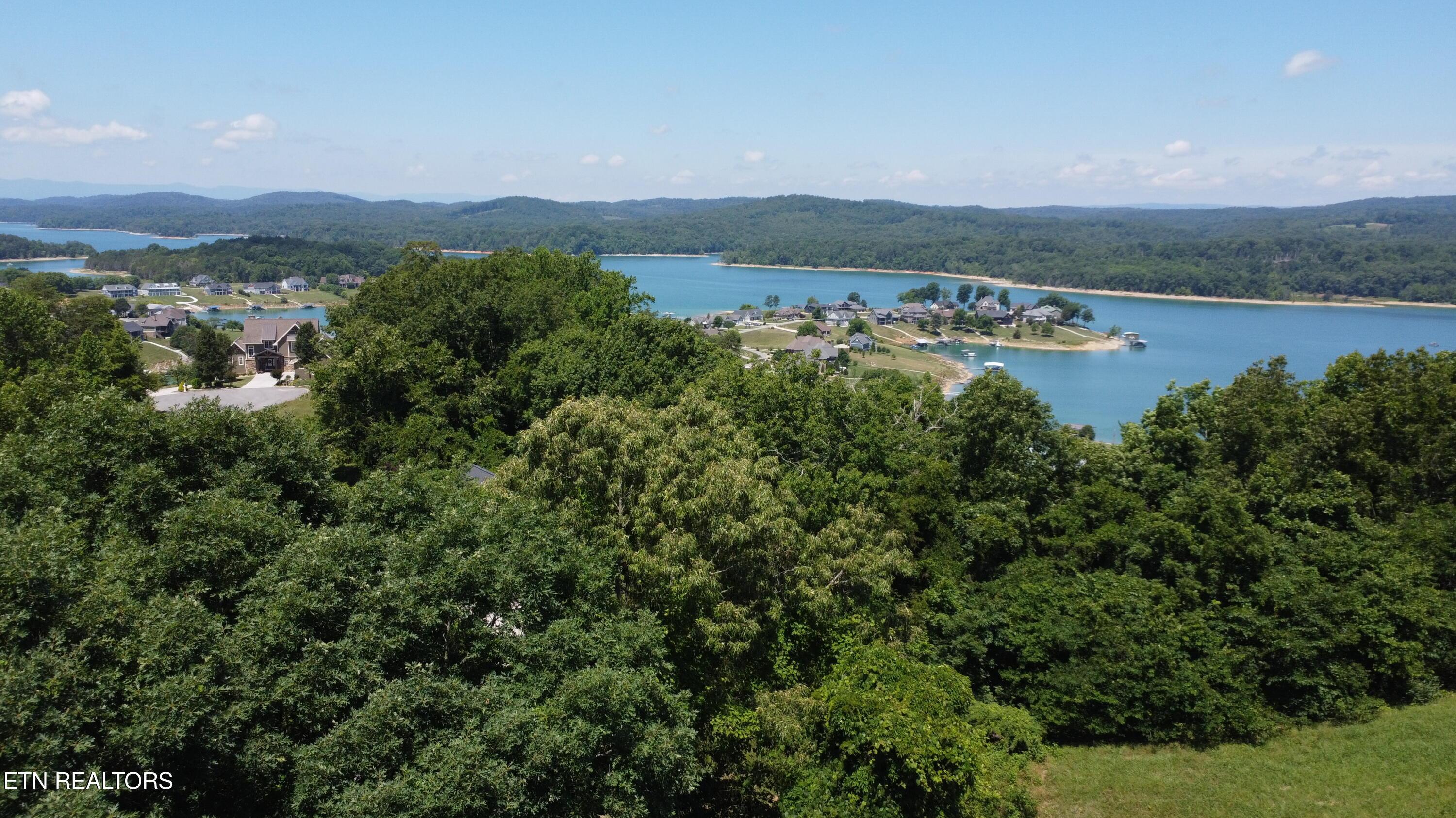 Norris Lake Real Estate - Image# 2