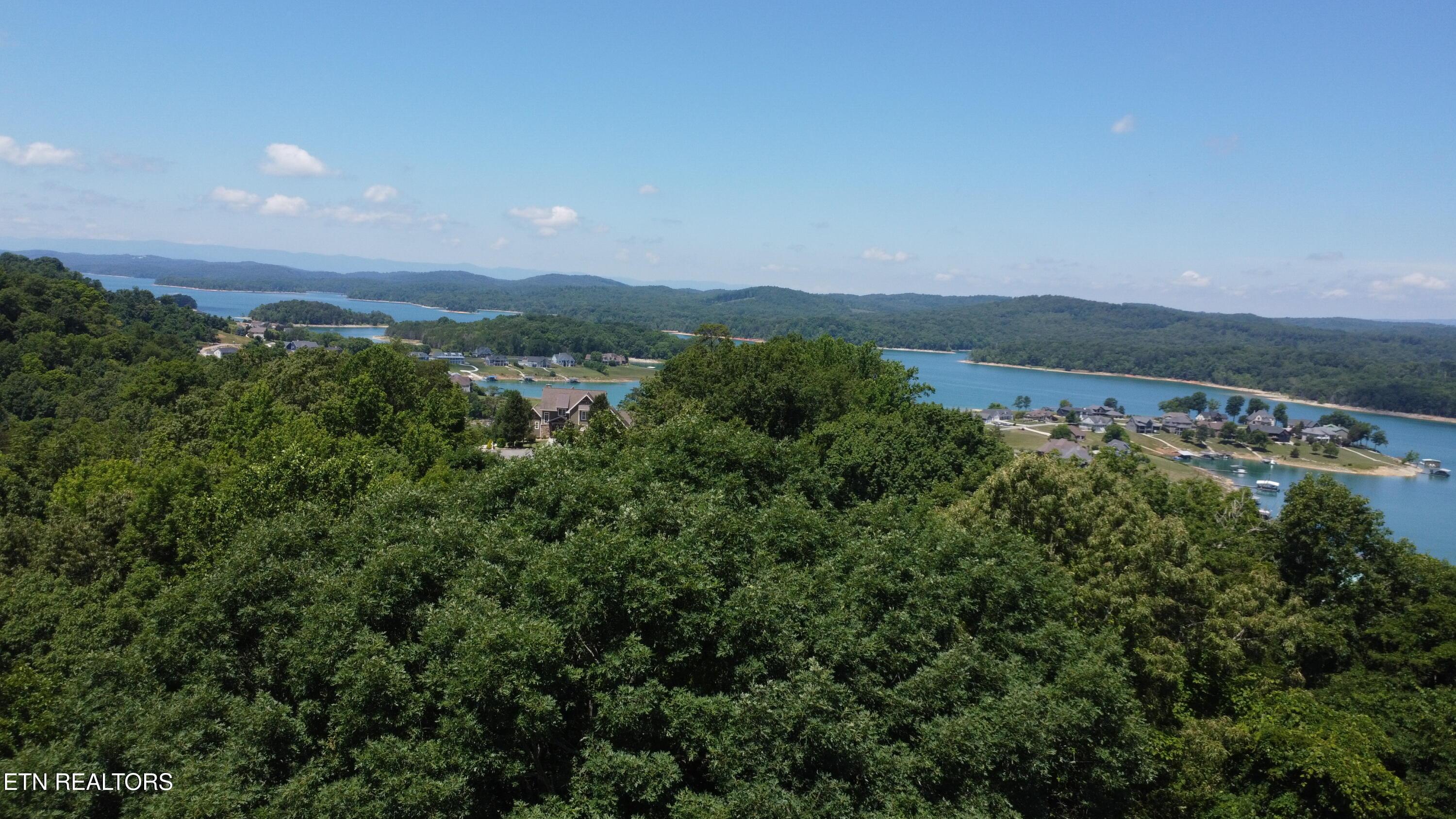 Norris Lake Real Estate - Image# 8