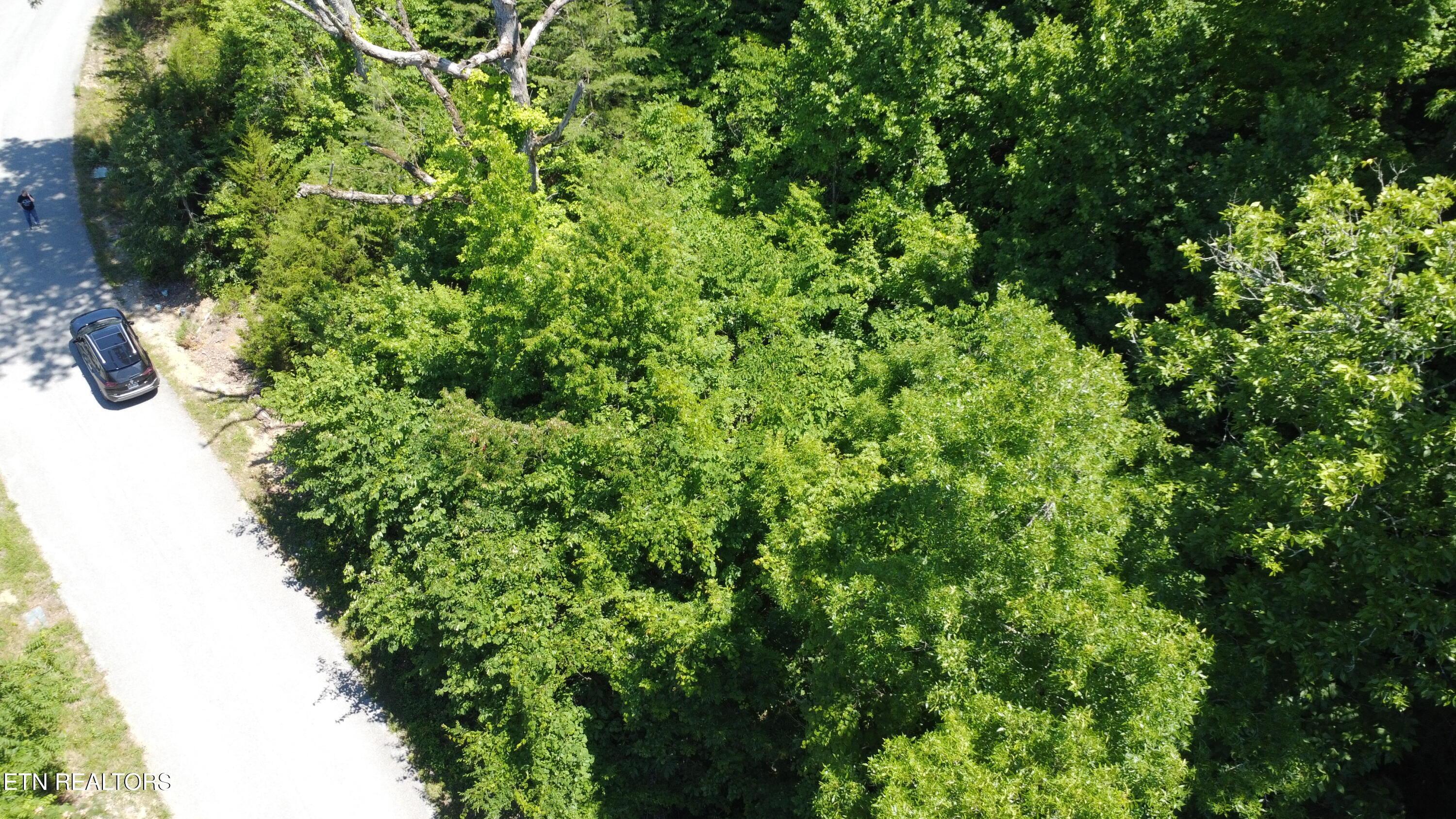 Norris Lake Real Estate - Image# 3