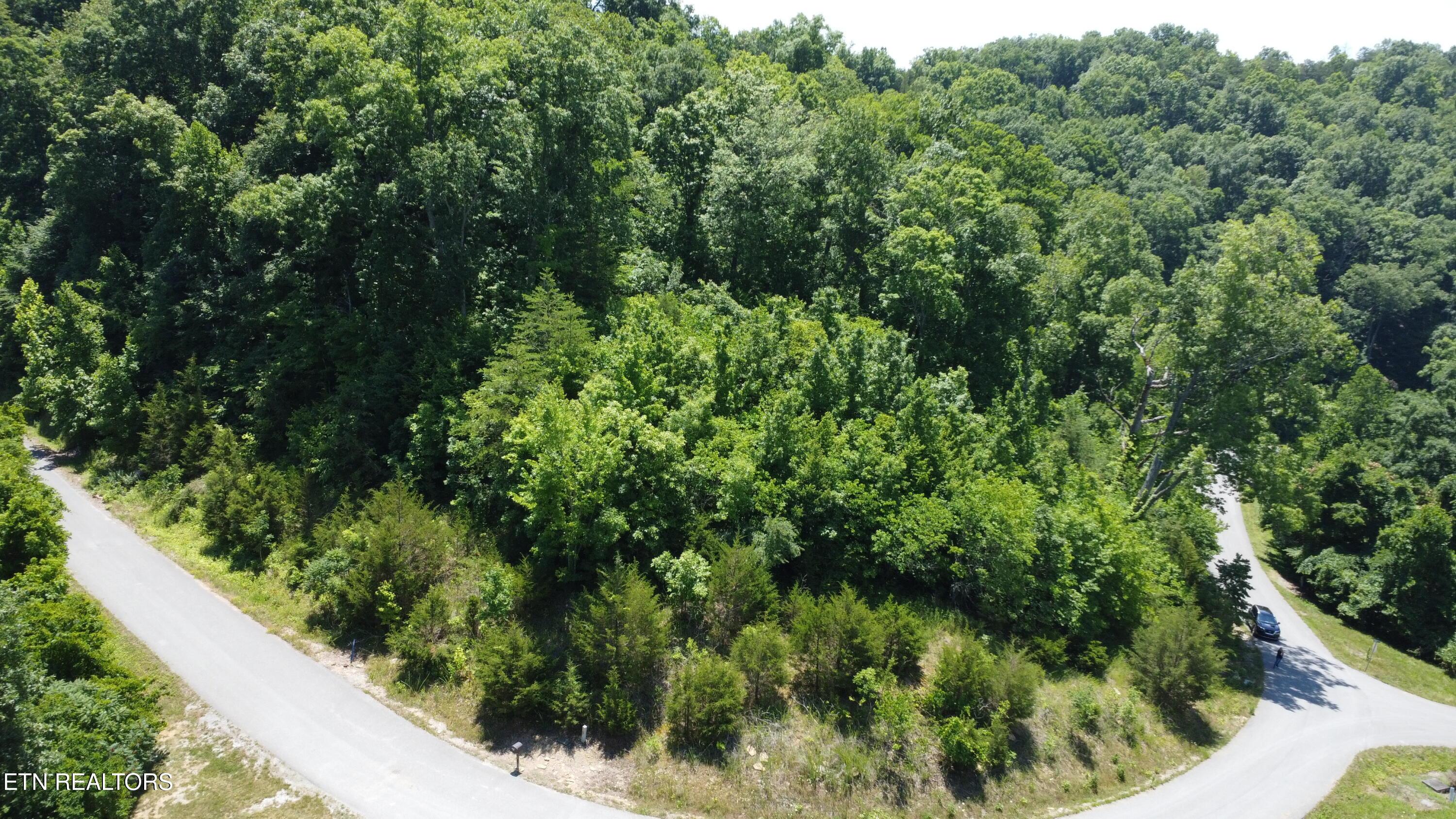 Norris Lake Real Estate - Image# 5