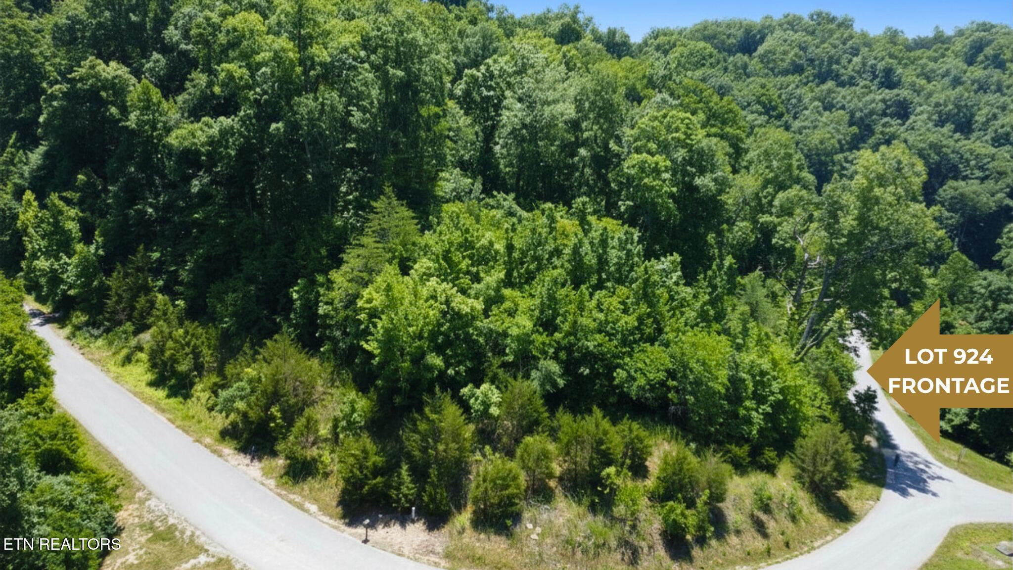 Norris Lake Real Estate - Image# 4