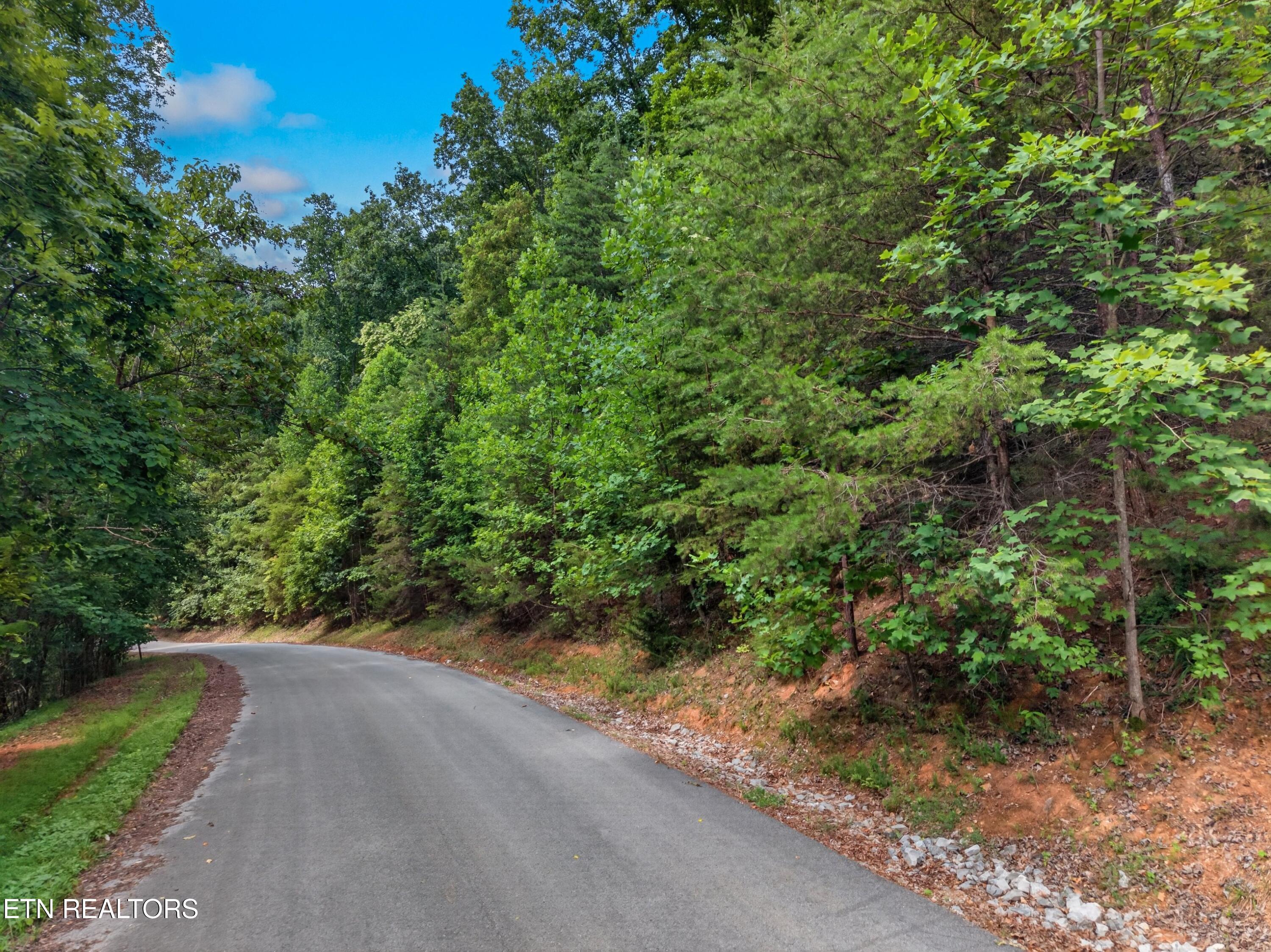 Norris Lake Real Estate - Image# 2
