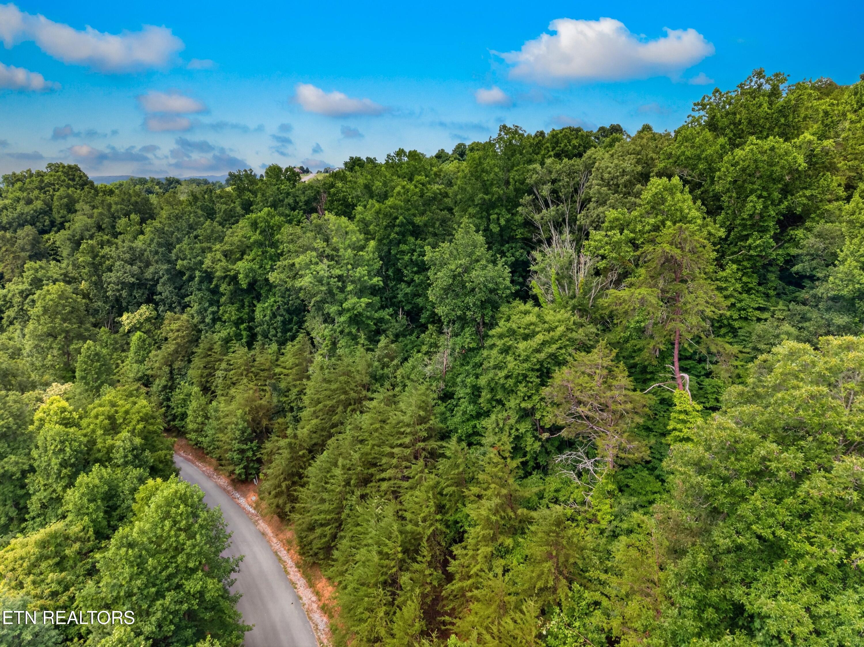 Norris Lake Real Estate - Image# 3