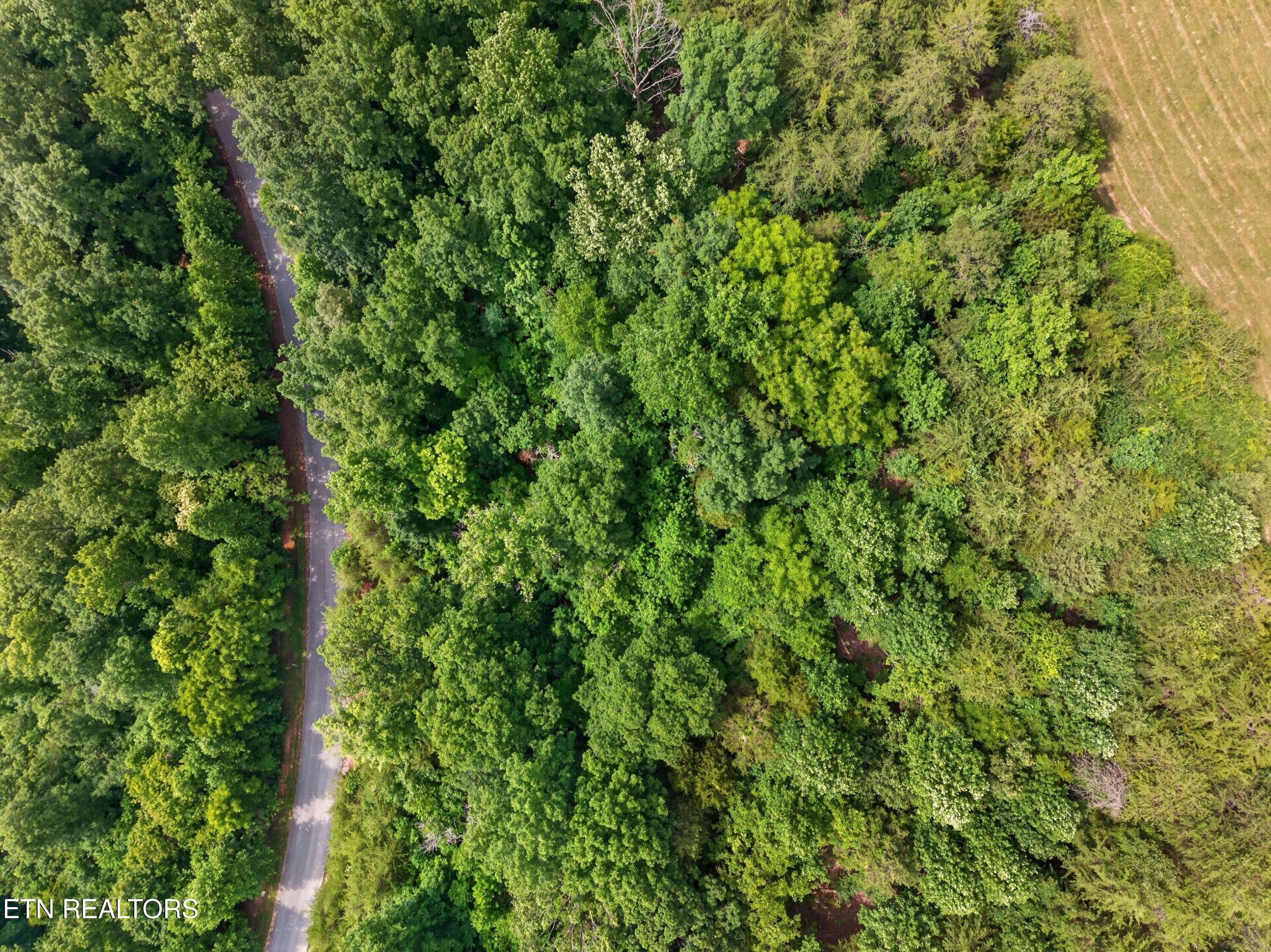 Norris Lake Real Estate - Image# 5